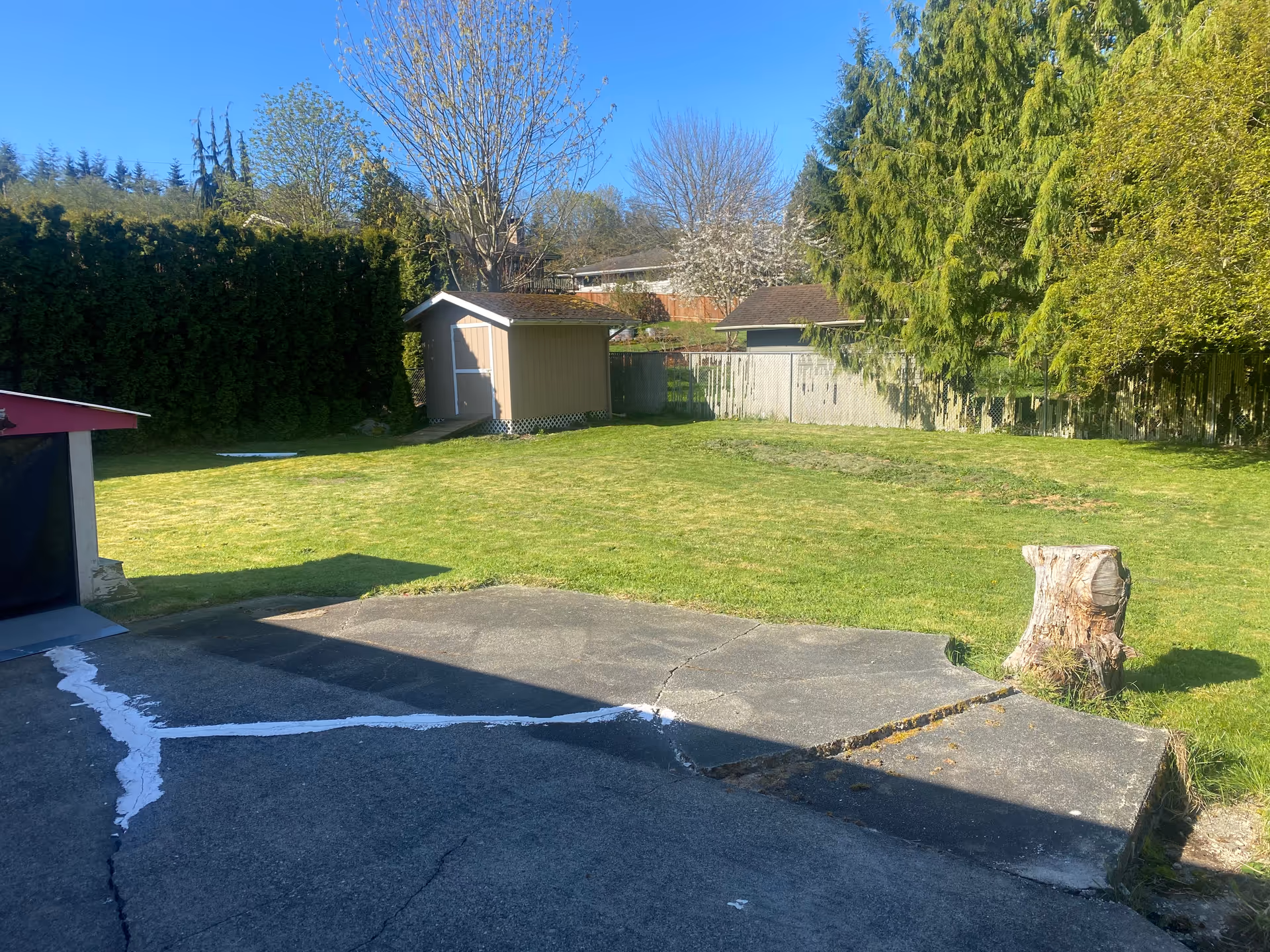 Residential backyard with a lawn, shed, trees, and a cracked concrete patio.