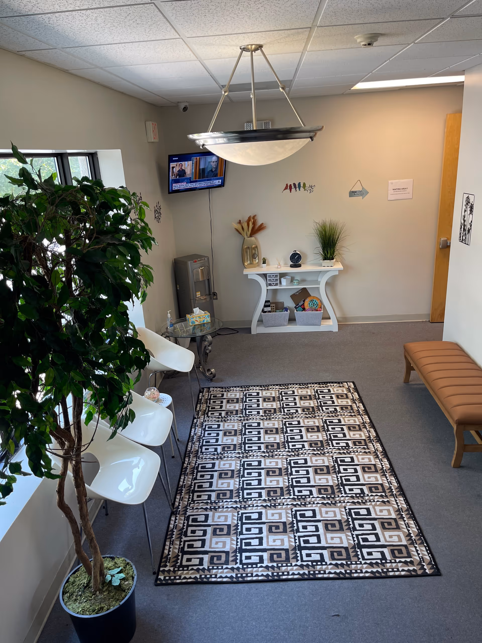 Indoor waiting lounge with patterned rug, white chairs, large plant, and wall-mounted TV.