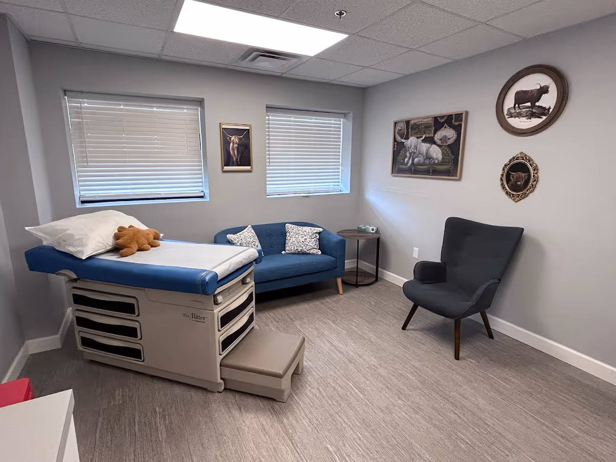 Blue medical examination bed in a small room with sofa, armchair, and wall art.