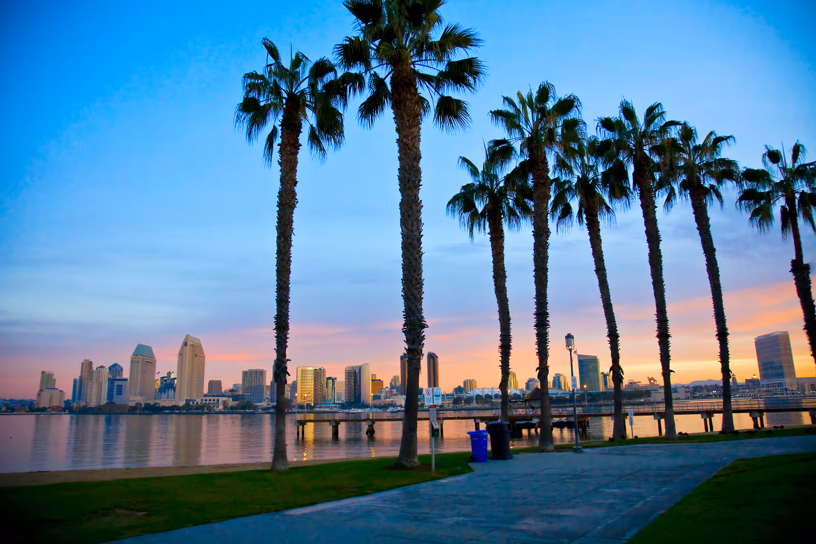 Palm-lined waterfront promenade with distant city skyline across calm water.