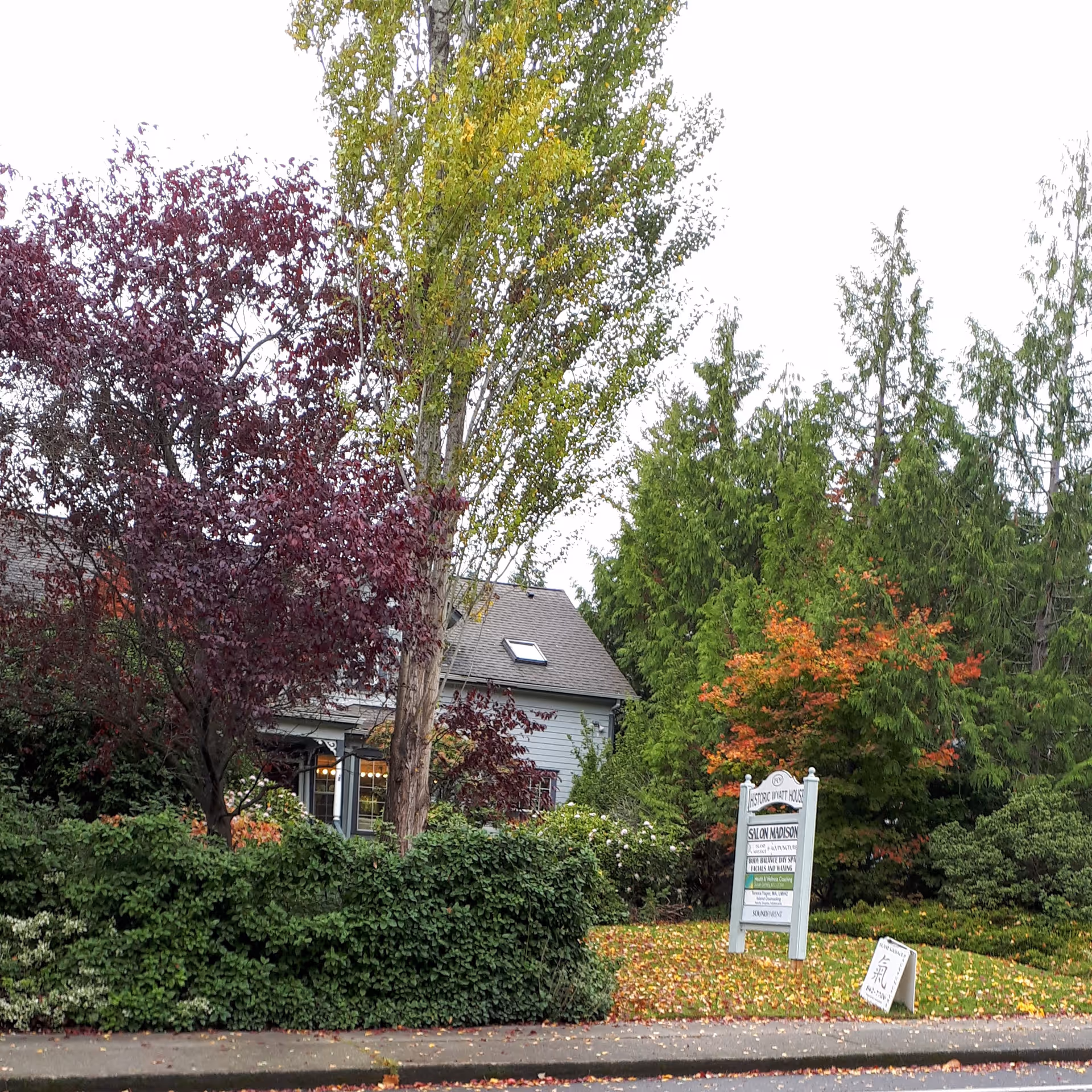 Front exterior of Bainbridge Senior Living Wyatt House with trees, shrubs, and a sign.