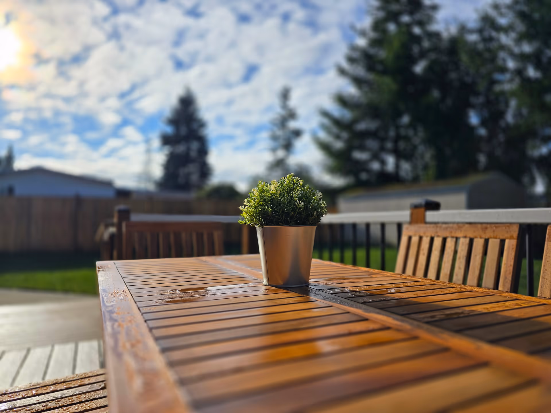 Wooden outdoor table with a small potted plant on a sunny patio.