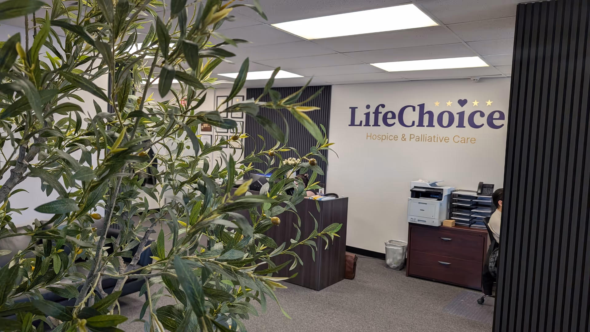 Reception area with a large plant, desk, and LifeChoice logo on the wall.