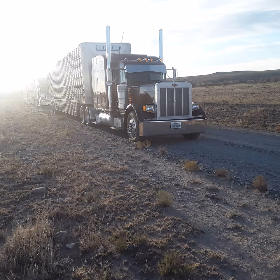 A large semi-truck on a dusty rural road with open plains.