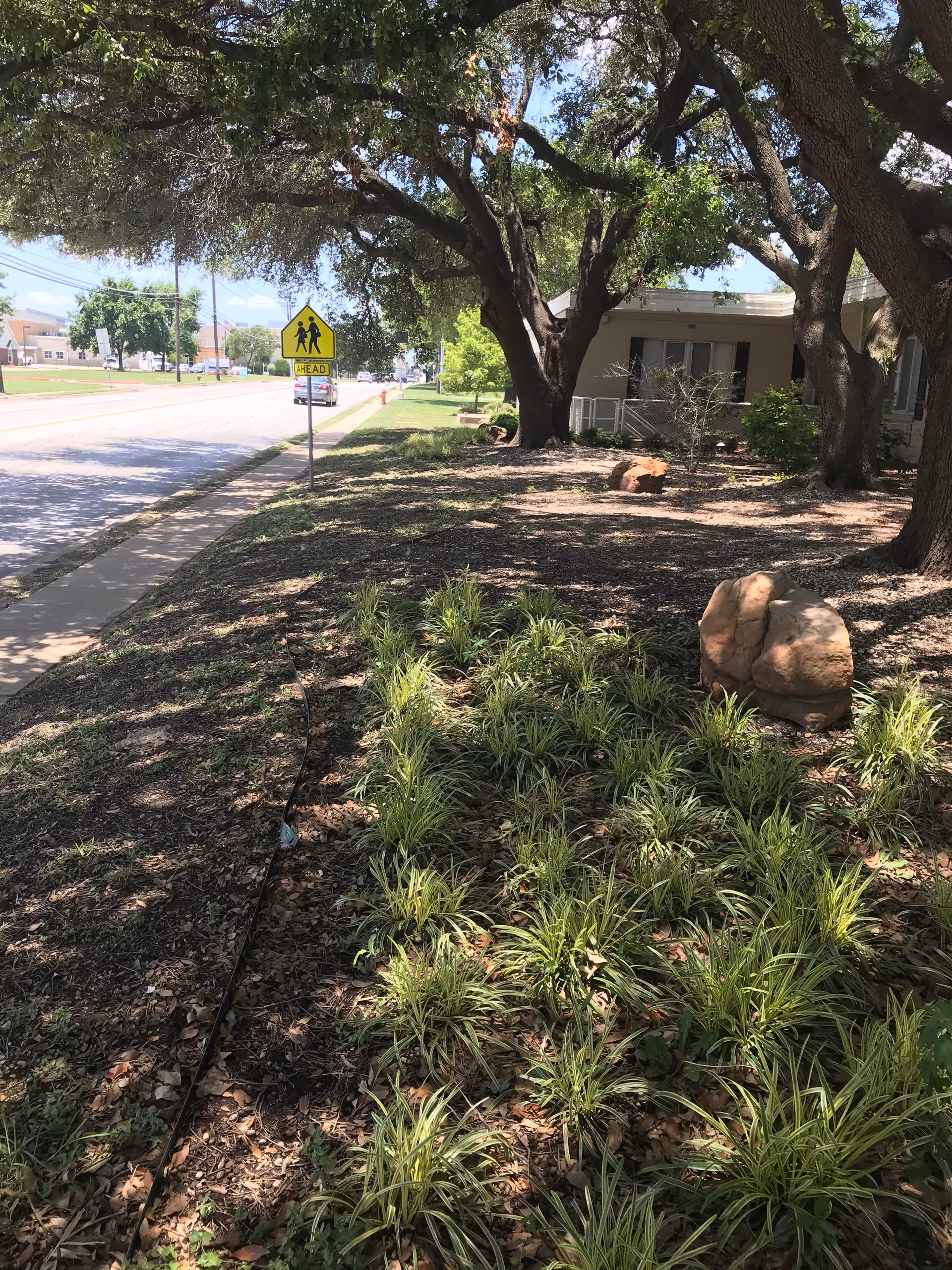 Shady landscaped area with trees, rocks, and a sidewalk beside Ashwood Court.