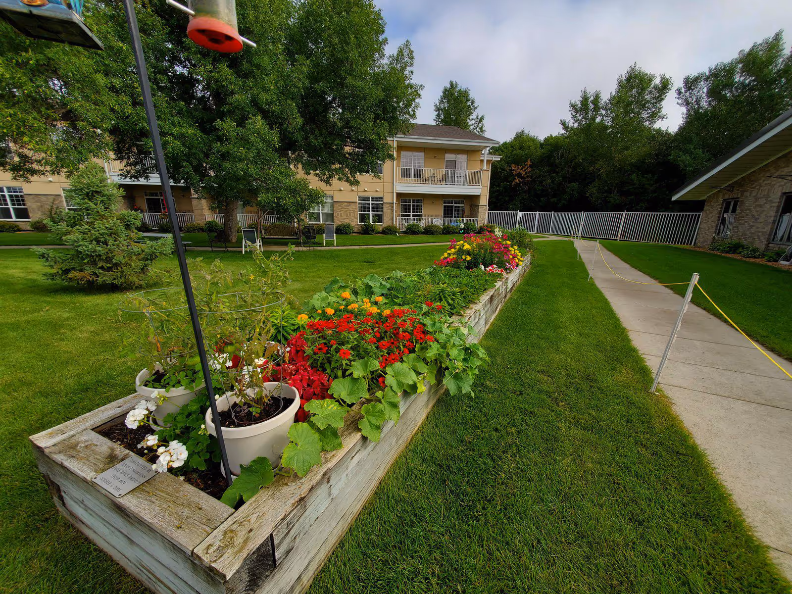 A raised wooden garden bed filled with various colorful flowers and plants, situated on a well-maintained grassy lawn. In the background, there is a two-story building with balconies and windows, surrounded by trees and a white fence. A concrete pathway runs alongside the garden bed.