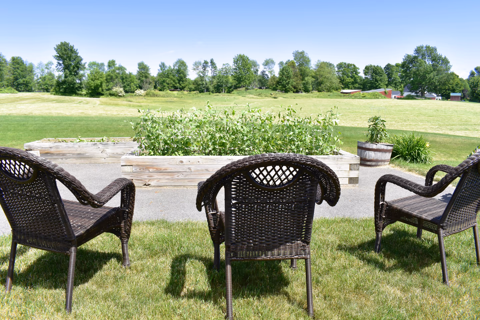 Outdoor seating area with wicker chairs and planters overlooking a sunny grassy field.