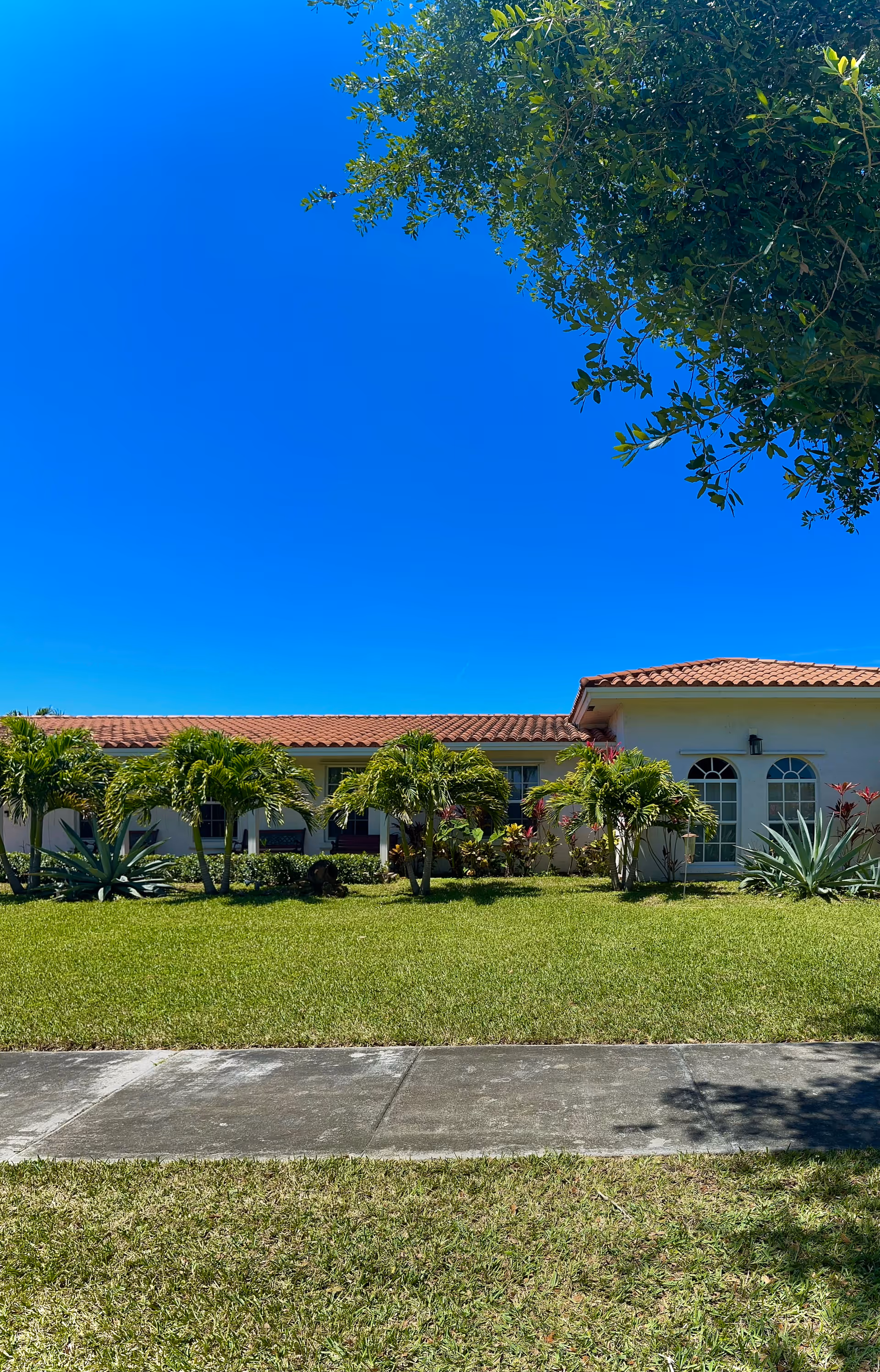 Single-story building with a red tile roof and white walls, surrounded by green grass, small palm trees, and other plants under a clear blue sky.