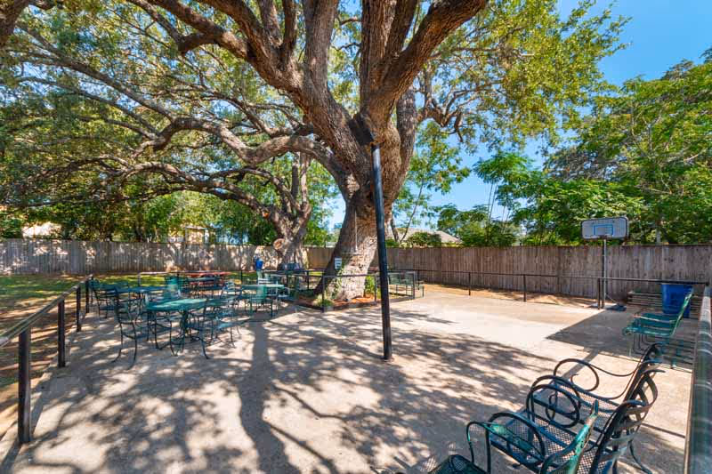 Outdoor courtyard at Retama Manor with seating, a large tree, and a basketball hoop.