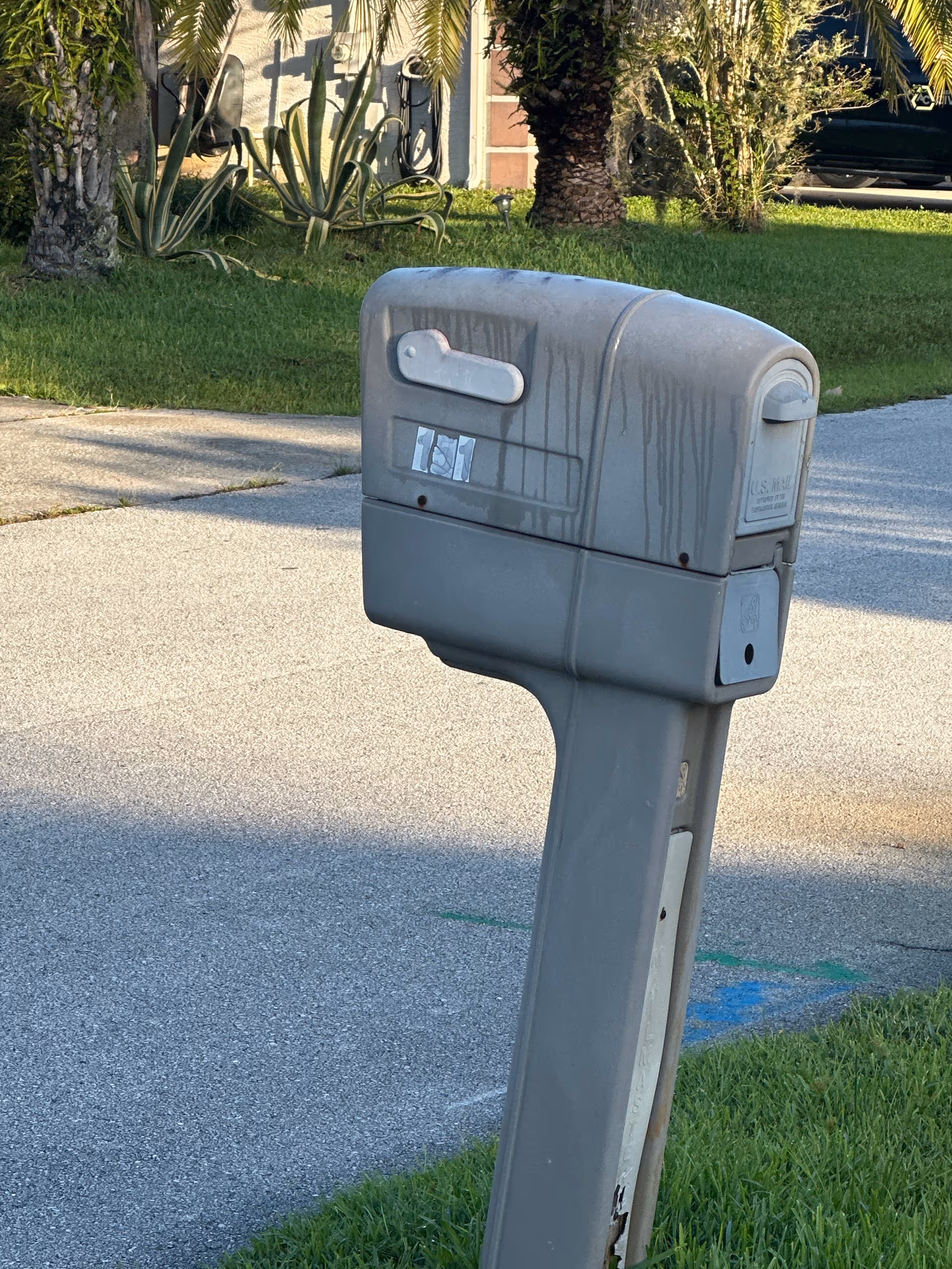 A gray curbside mailbox on a post beside a grassy yard with palm trees