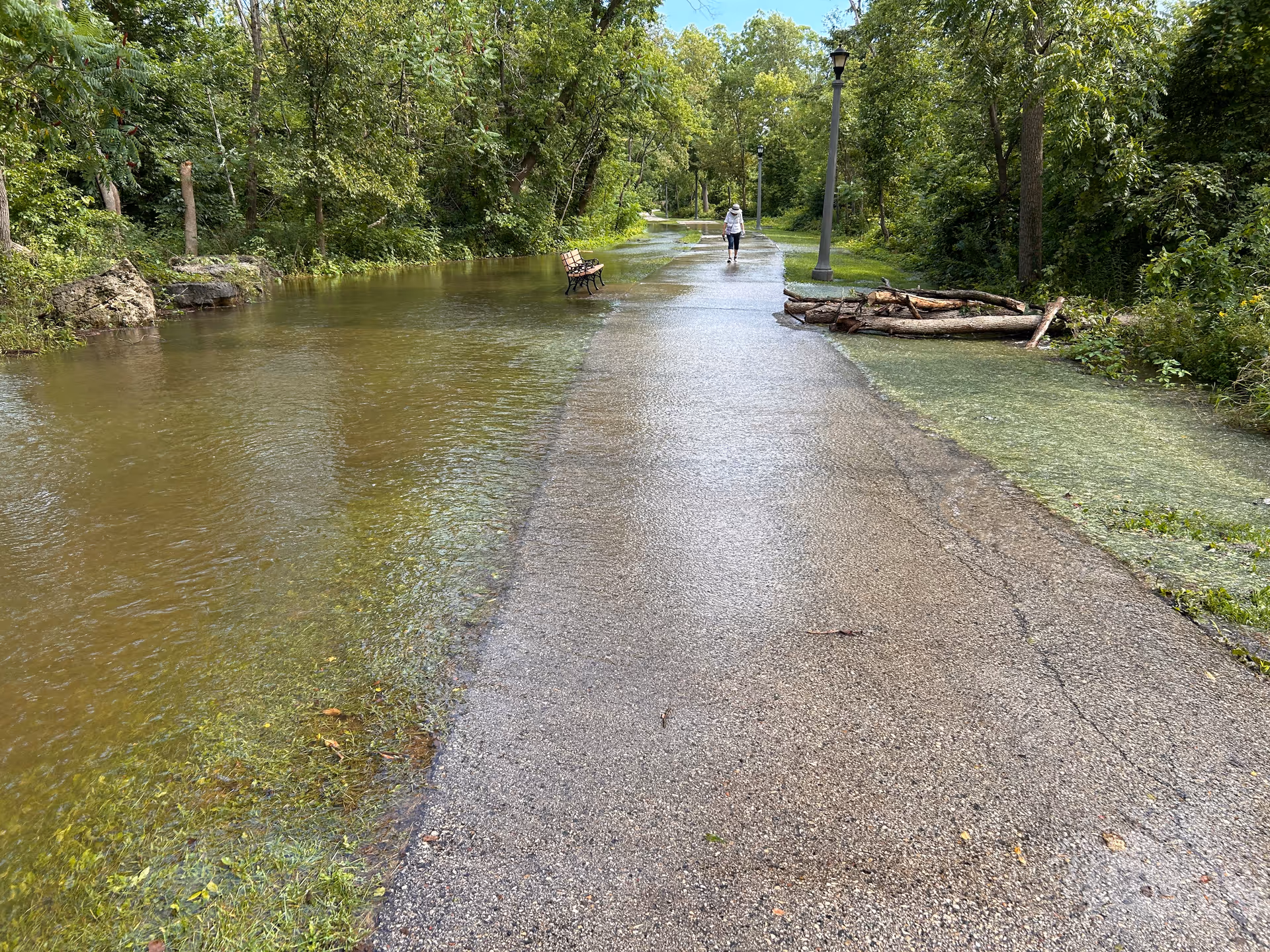 A flooded park path along trees with a person walking in the distance.