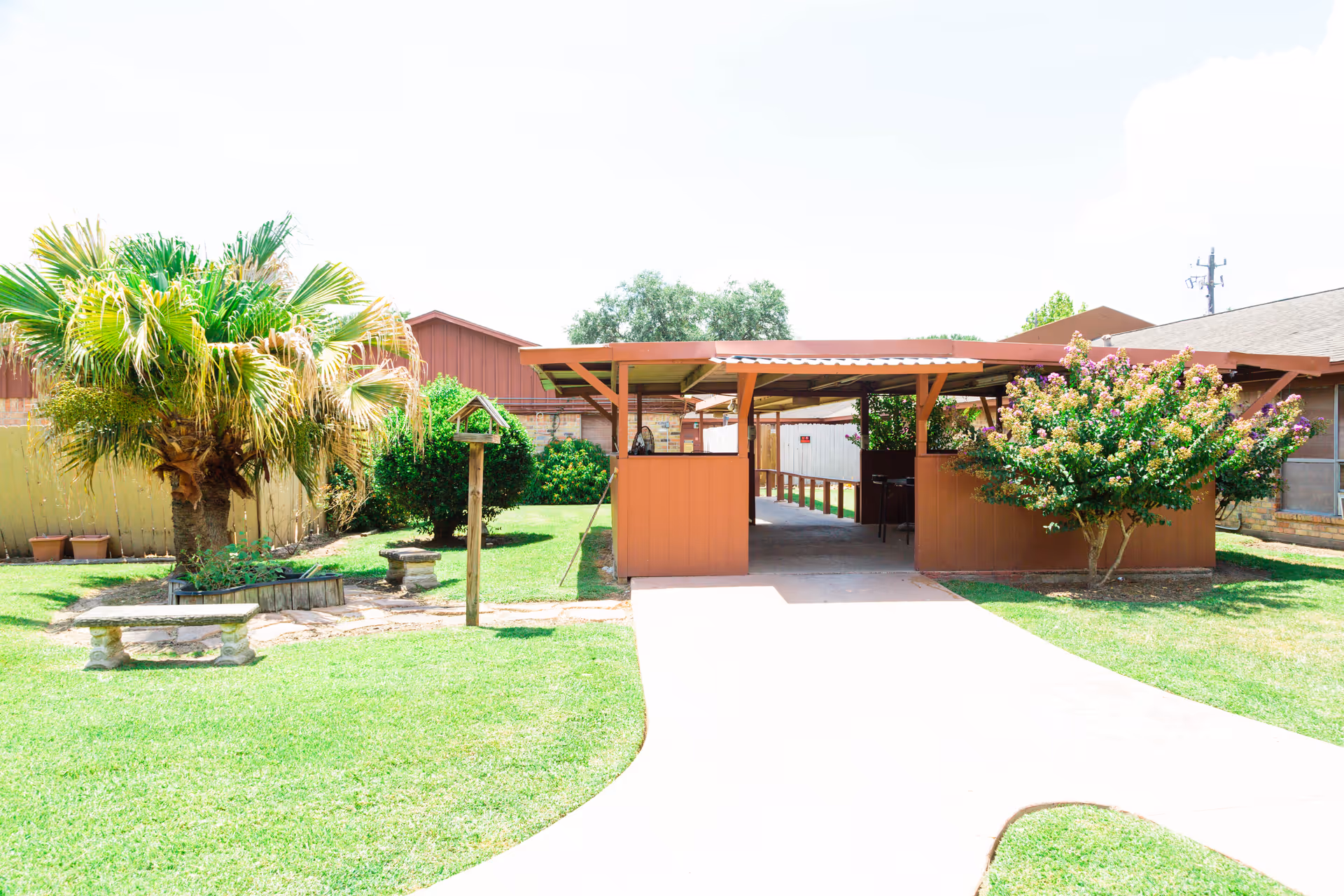 Outdoor area of a senior living facility with a covered walkway, green lawn, palm tree, flowering bush, and stone benches.