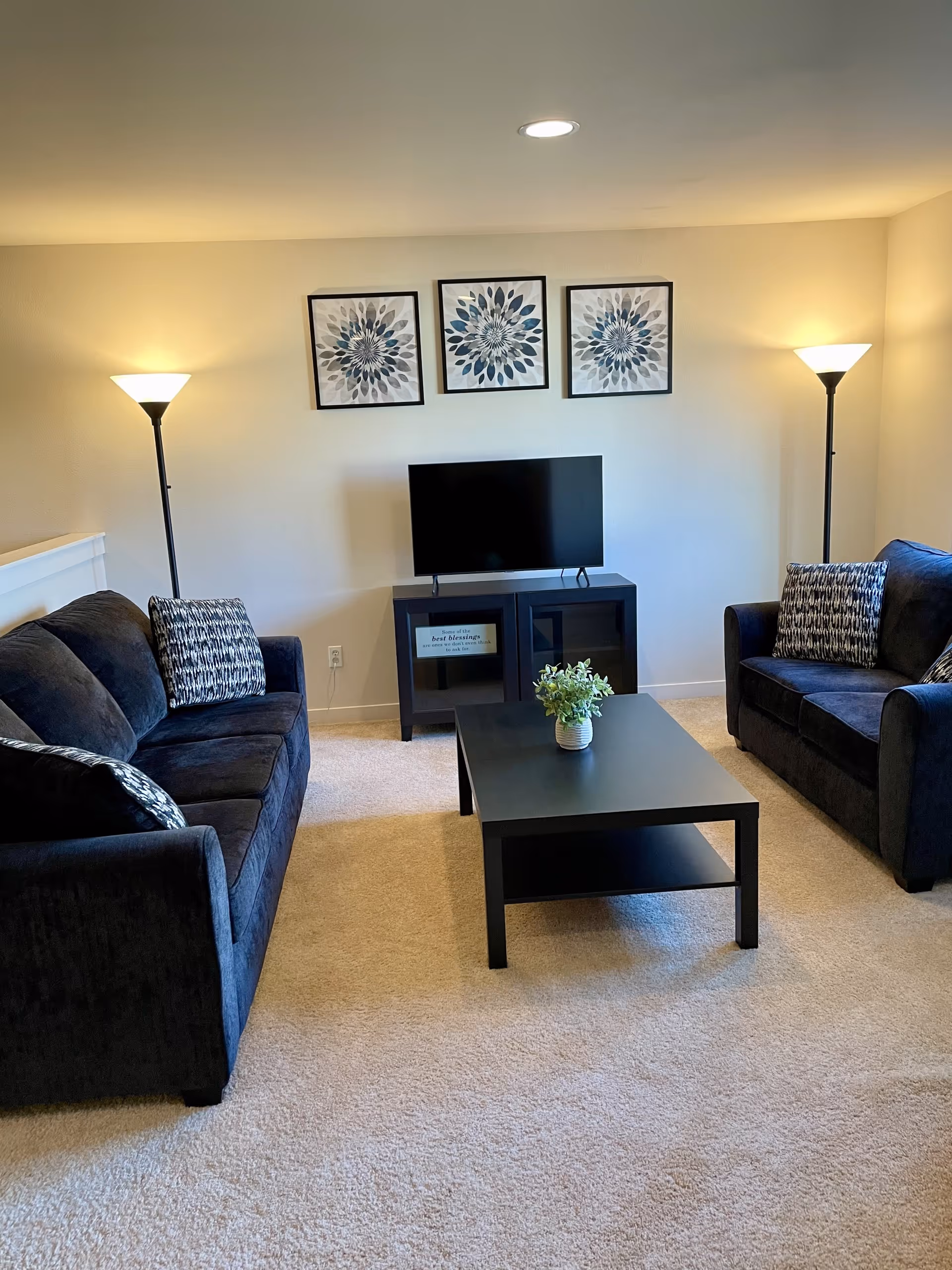 Two dark sofas face a TV in a cozy living room with a coffee table.