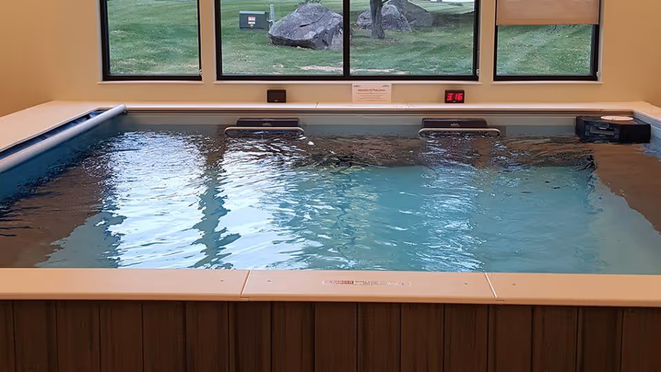 Indoor therapy pool with handrails and a gentle current in a room with three large windows overlooking a grassy yard.