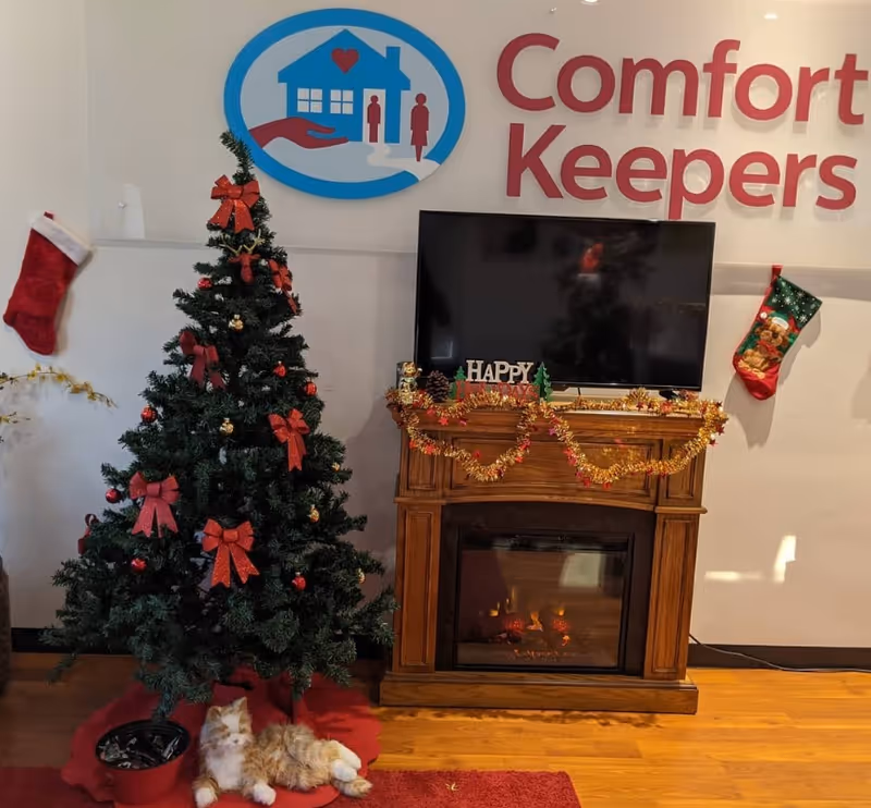 Festive interior with Christmas tree, garlanded fireplace, stockings, and a television.