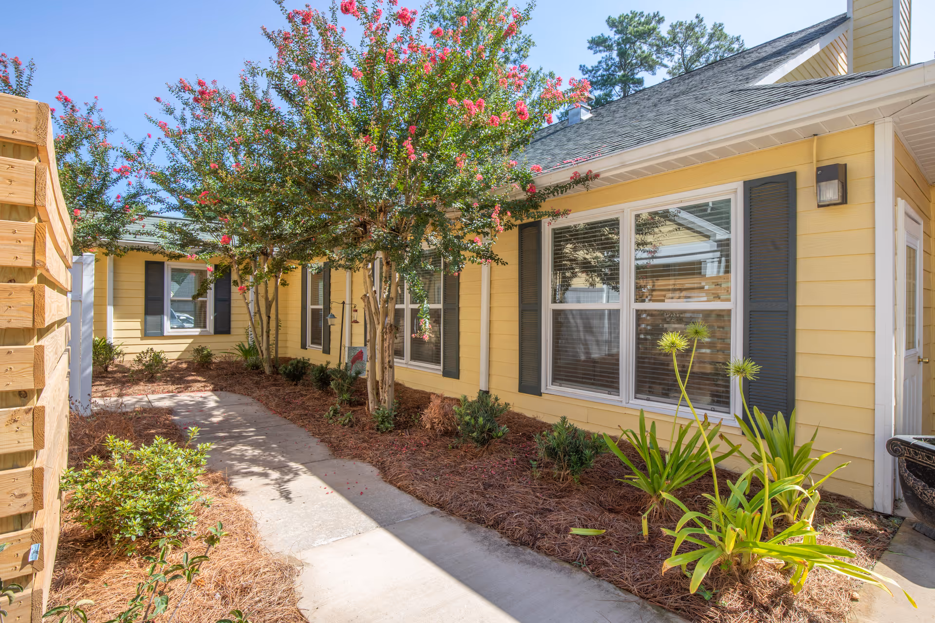 Yellow senior living facility exterior with pink-flowering tree, windows, and a paved walkway.
