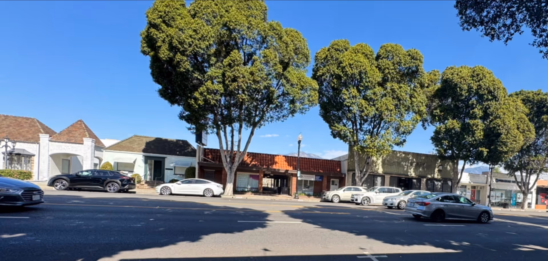 Street scene with parked cars and storefronts lined by tall trees on a sunny day.