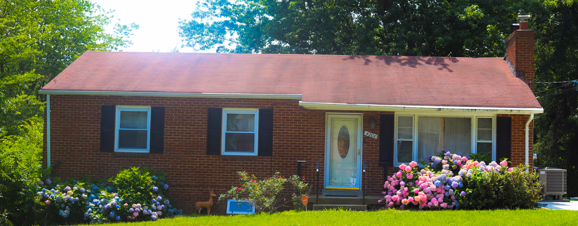 Brick single-story building with a front door, blue shutters, and blooming hydrangeas.