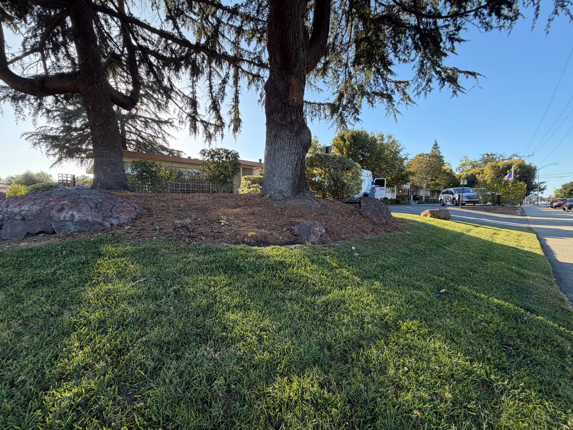 Mission Skilled Nursing & Subacute Center exterior with trees, lawn, and parked cars.