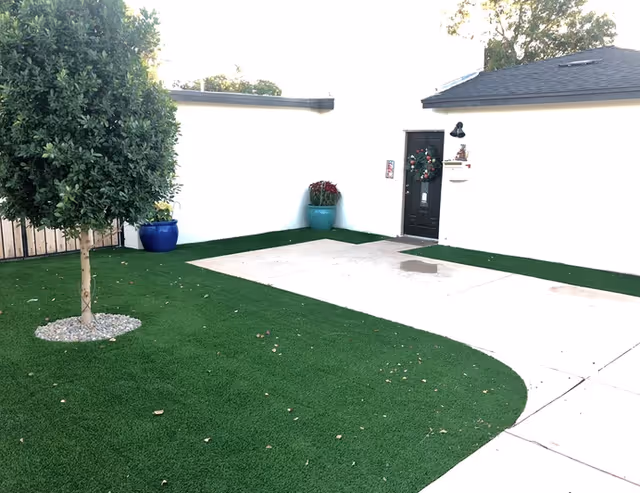 Adagio ALH exterior courtyard featuring a black front door, potted plants, and artificial turf.