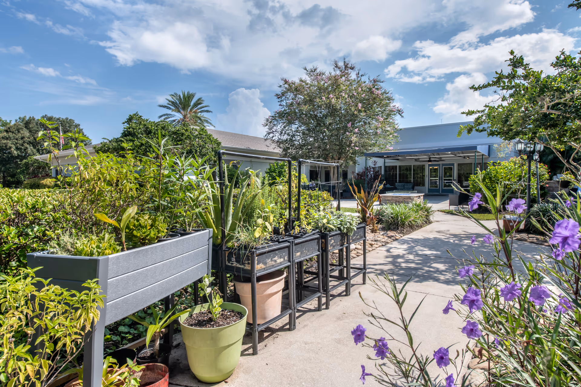 Sunlit outdoor courtyard with potted plants on racks leading to a building entrance.