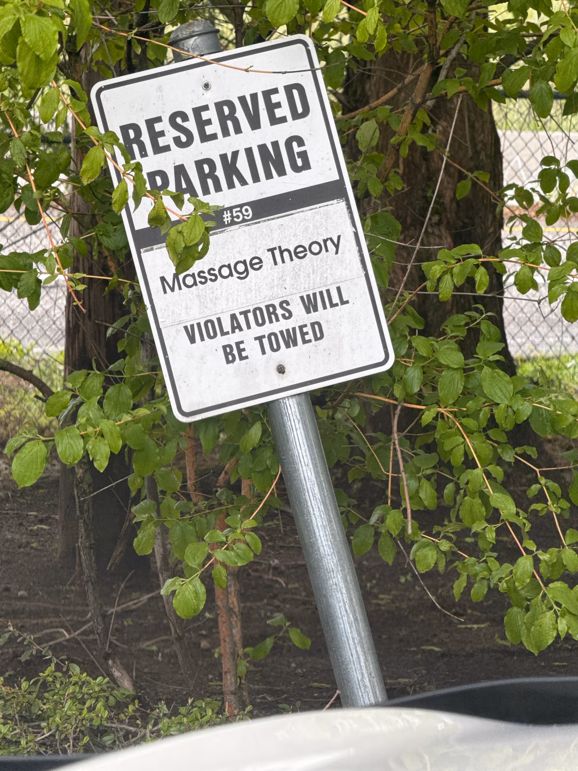 Tilted reserved parking sign reading Massage Theory, surrounded by green leaves.