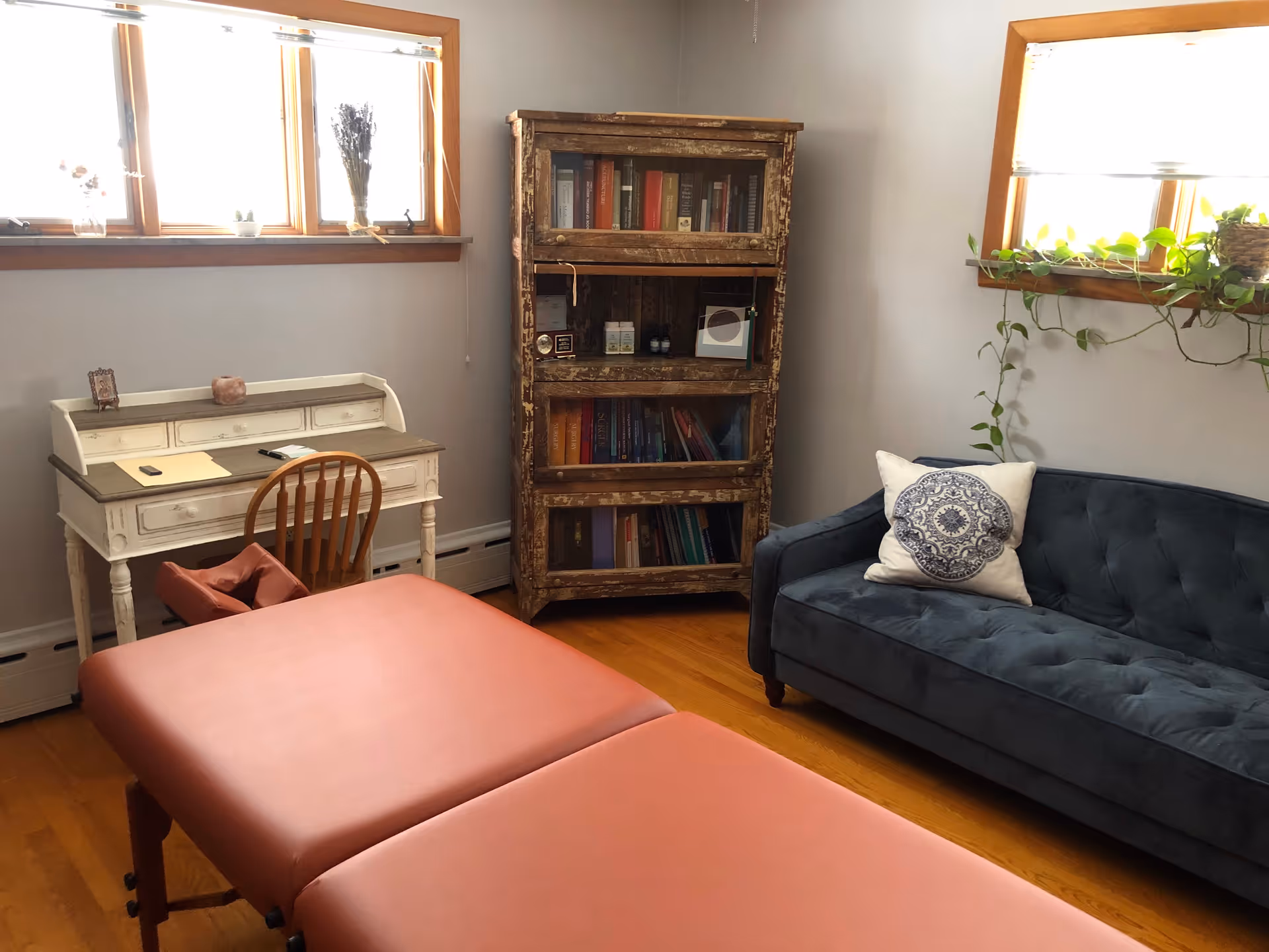A cozy treatment room with a pink massage table, desk, bookcase, couch, and plants.