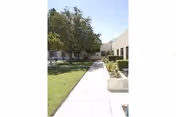 A concrete sidewalk runs between lawns and trees toward a light-colored building exterior.
