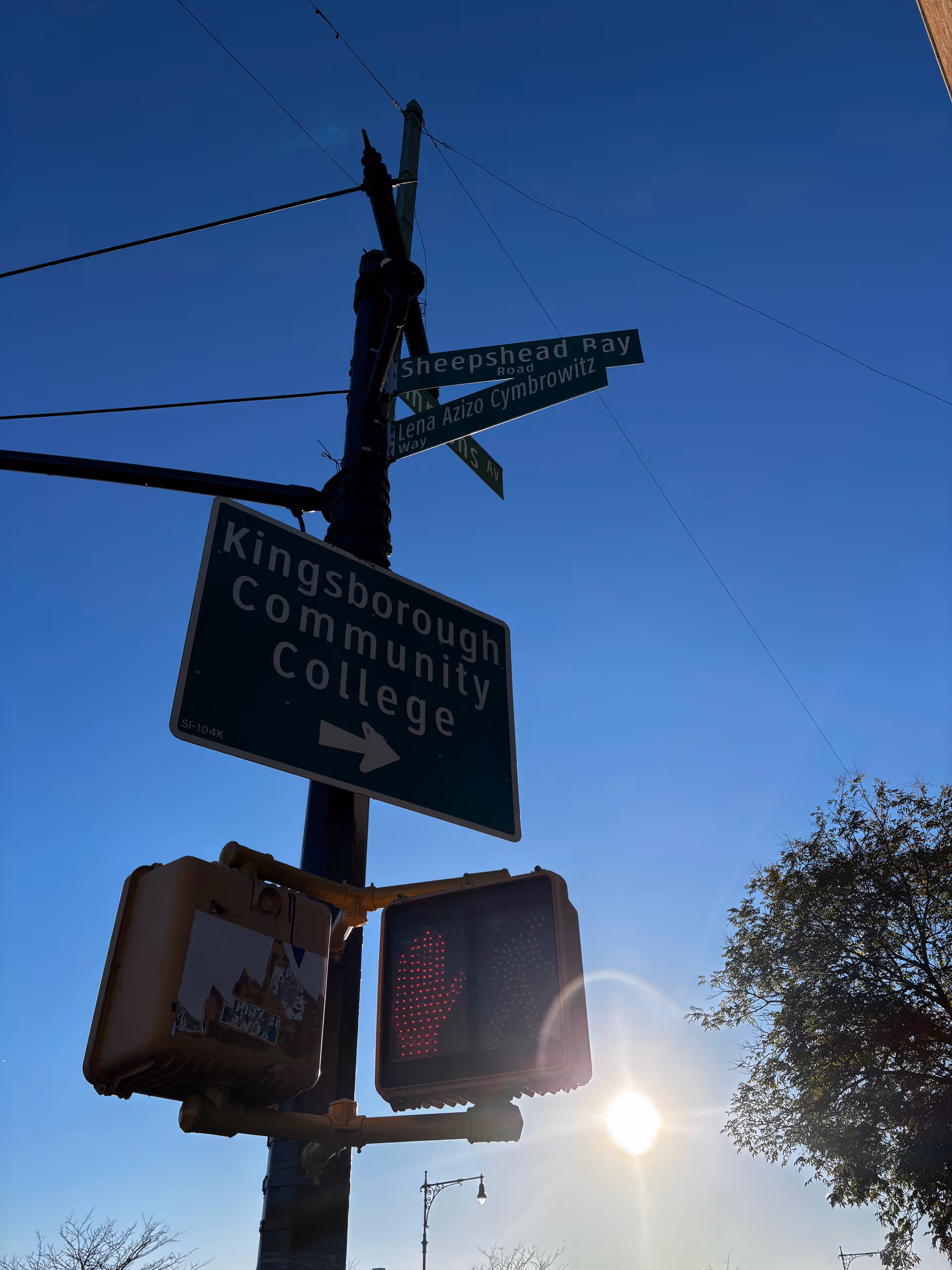 Street corner with multiple signs, a pedestrian signal, and a clear blue sky.