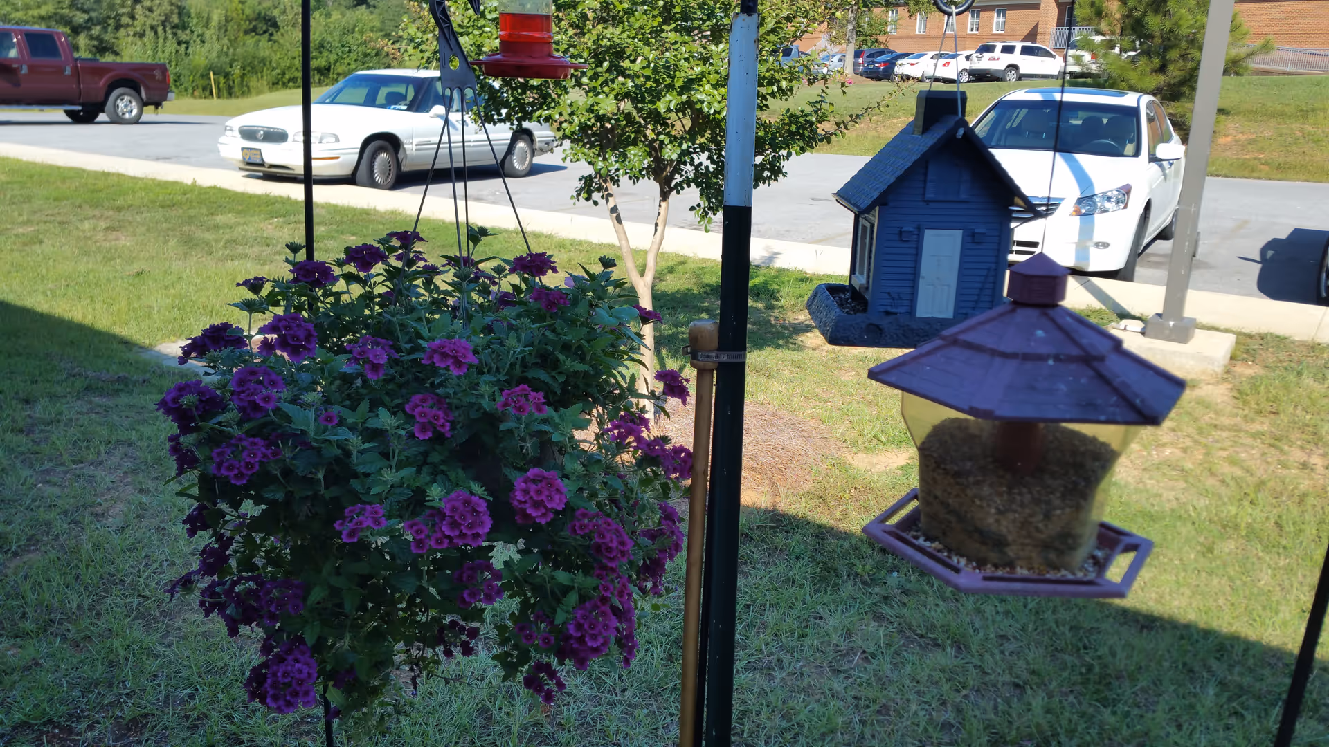 Hanging purple flowers and a bird feeder in a green outdoor senior facility area.