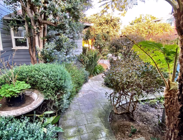 A narrow stone path winds through a lush garden beside a grey building.