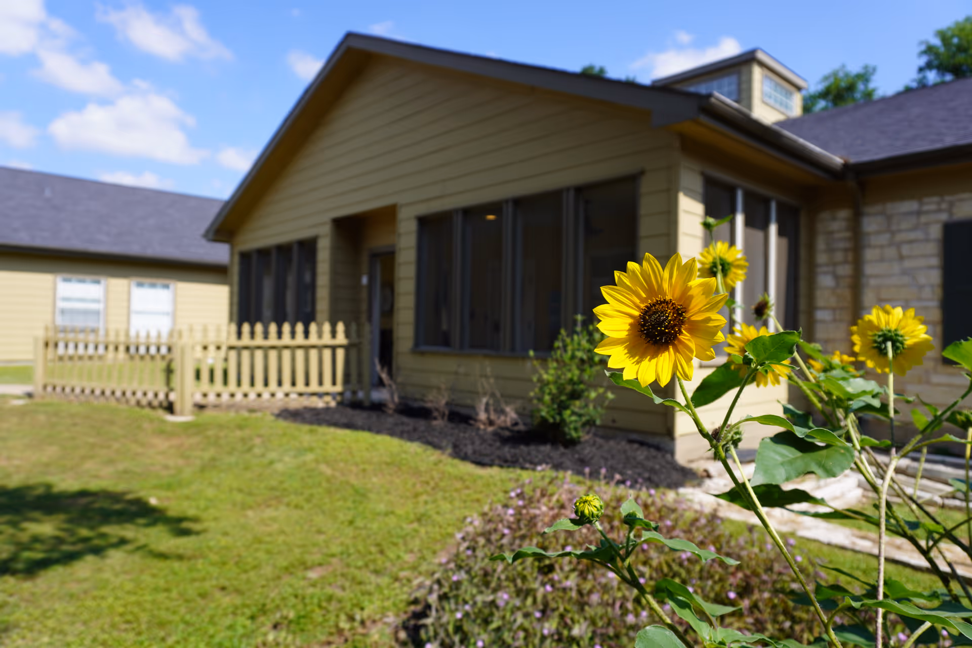 Exterior view of a Sodalis Austin senior living building with sunflowers in foreground.