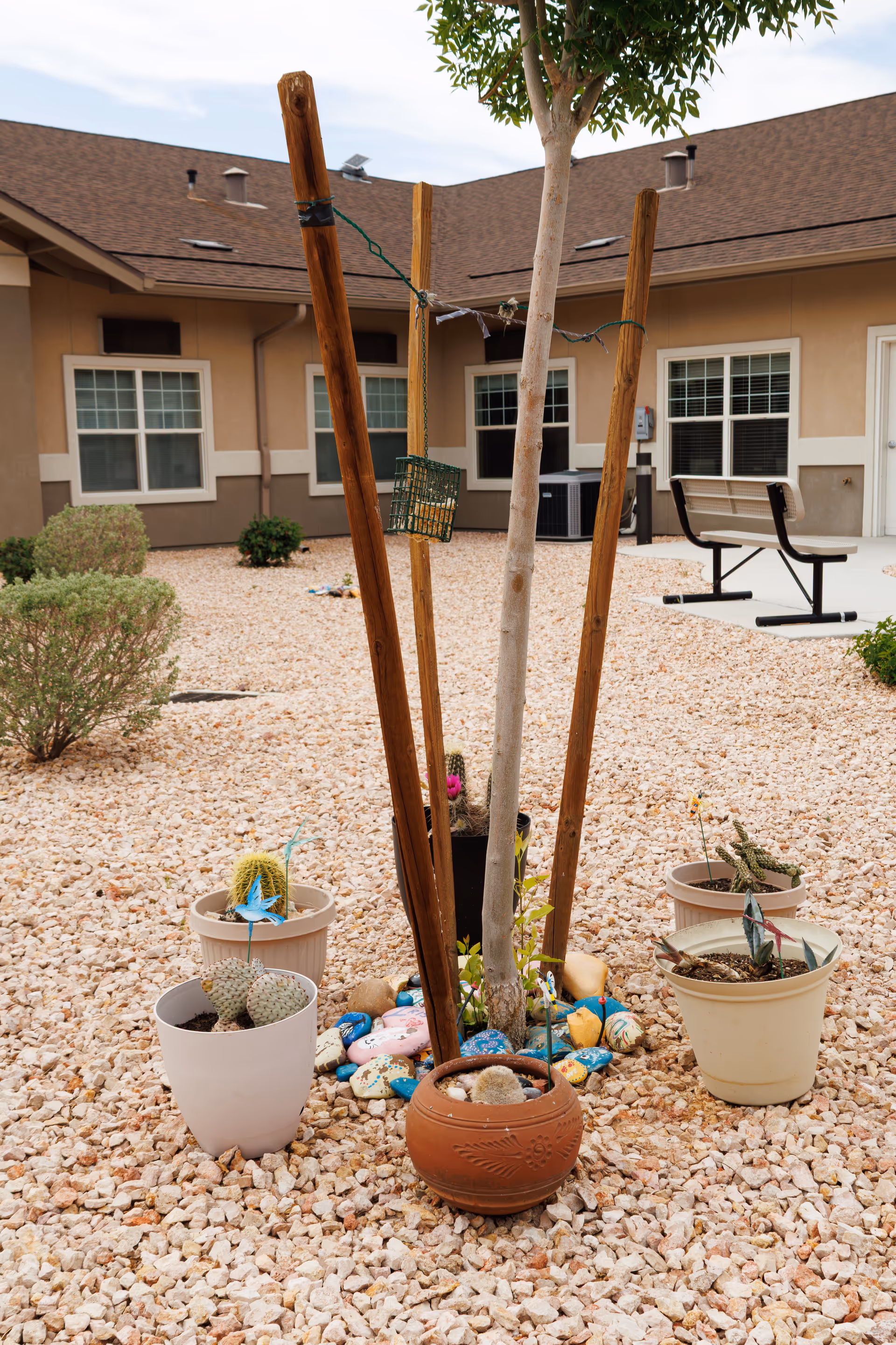 Outdoor courtyard at Mesa Valley Estates with potted plants and a bench.