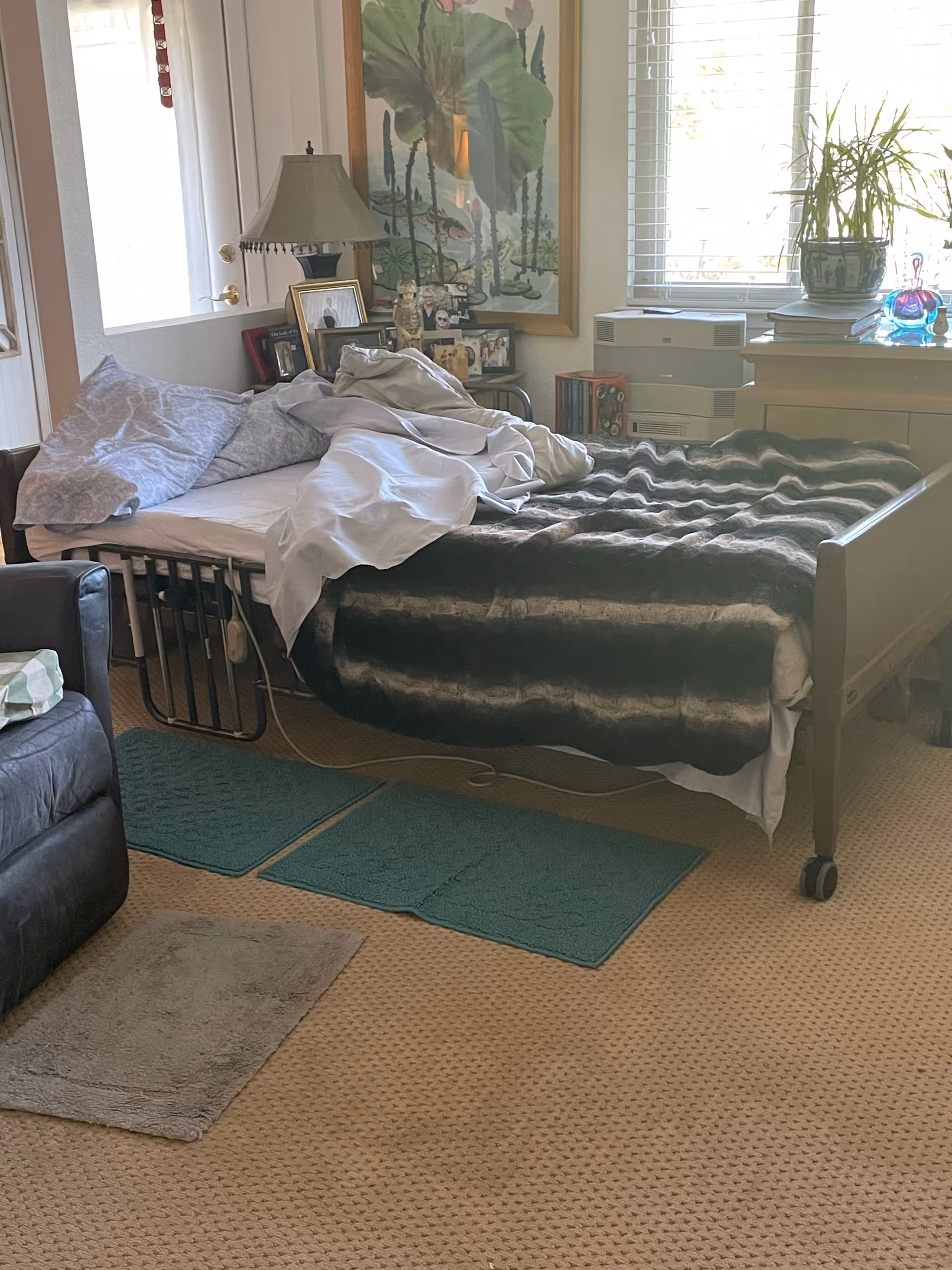 Hospital-style bed in a cozy room with photos, lamp, plants, and window blinds.