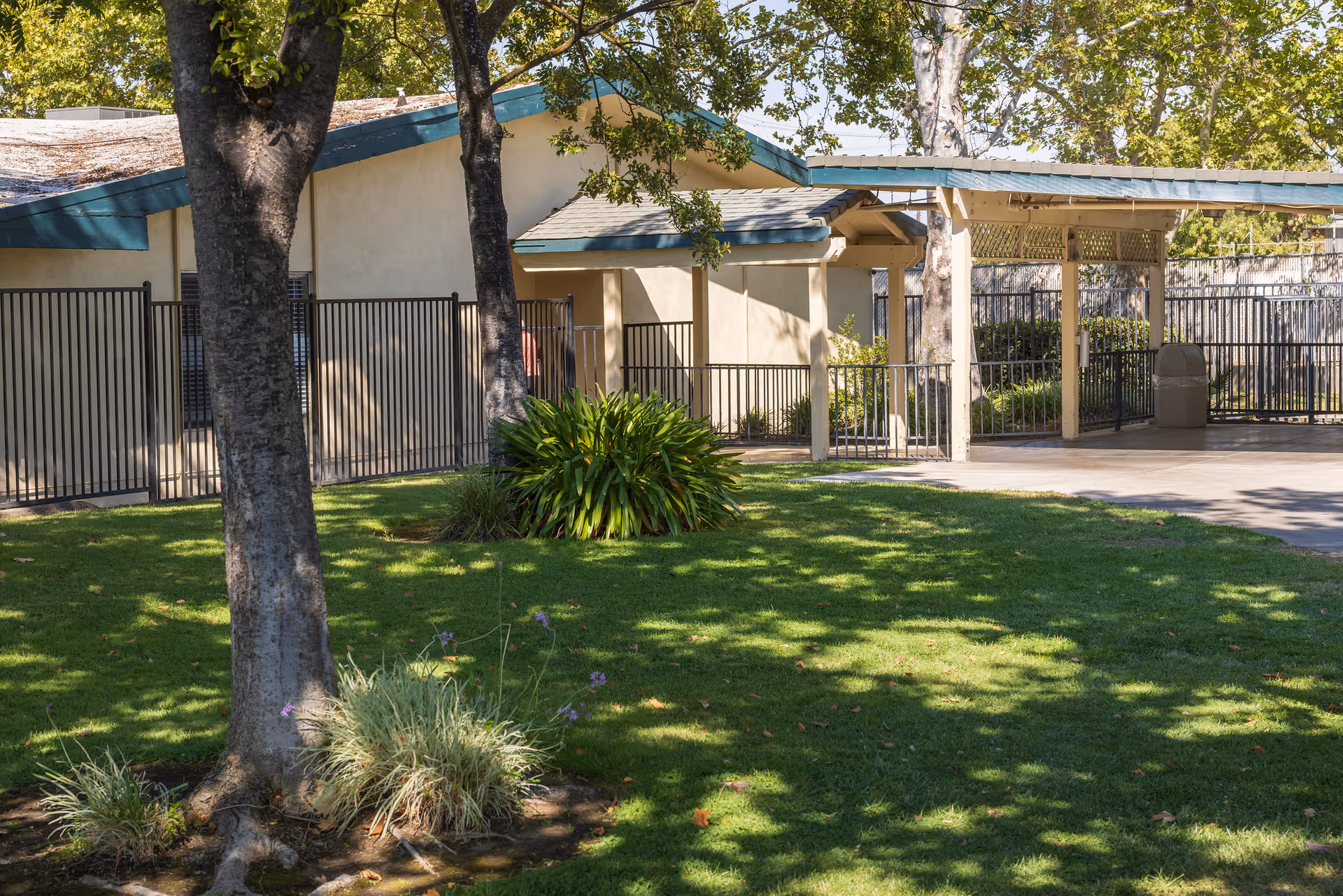 Grassy courtyard with trees in front of a single-story building and a covered walkway enclosed by a metal fence.
