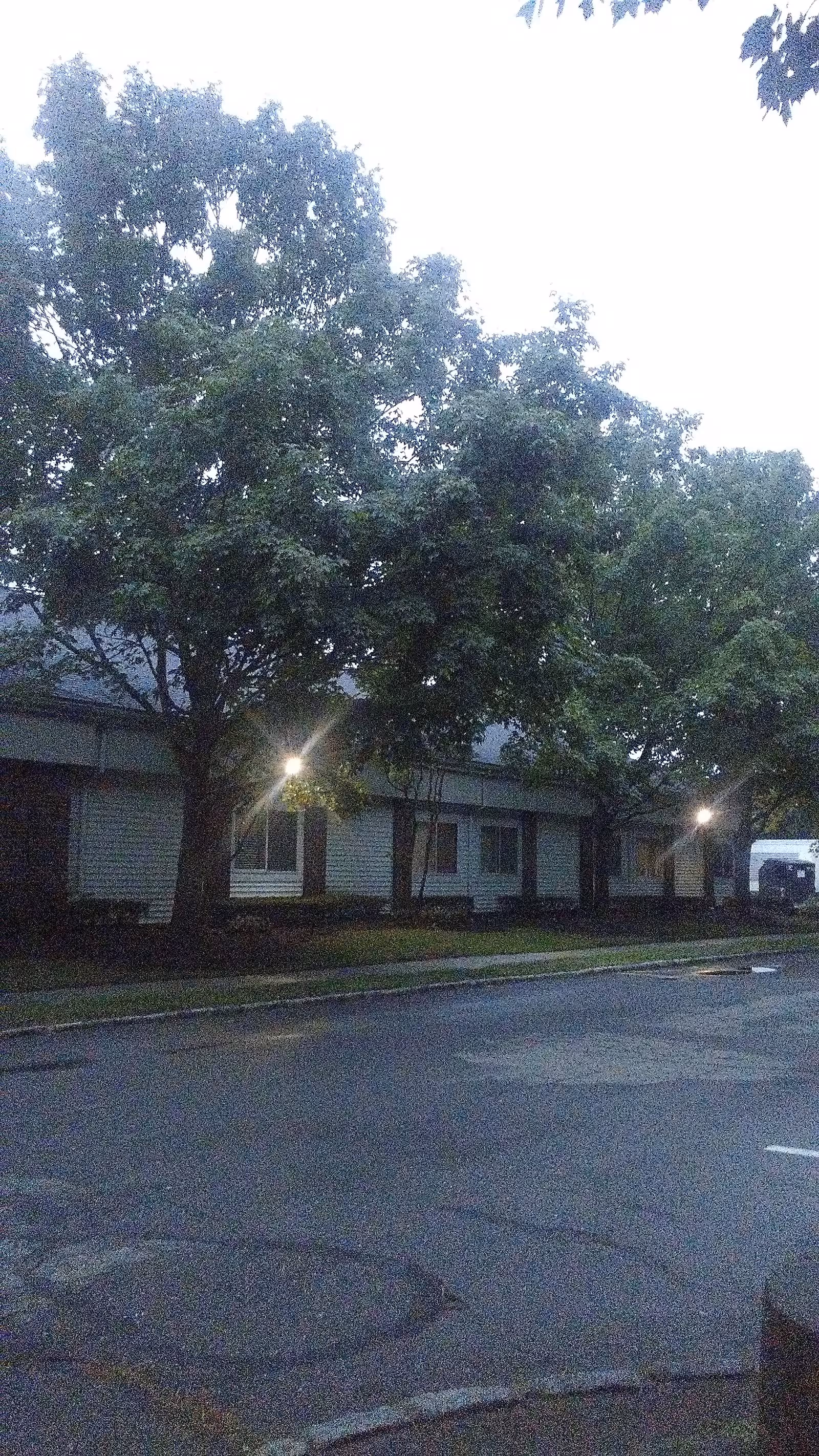 Exterior view of Wilton Meadows Nursing and Rehabilitation building with trees and parking lot.