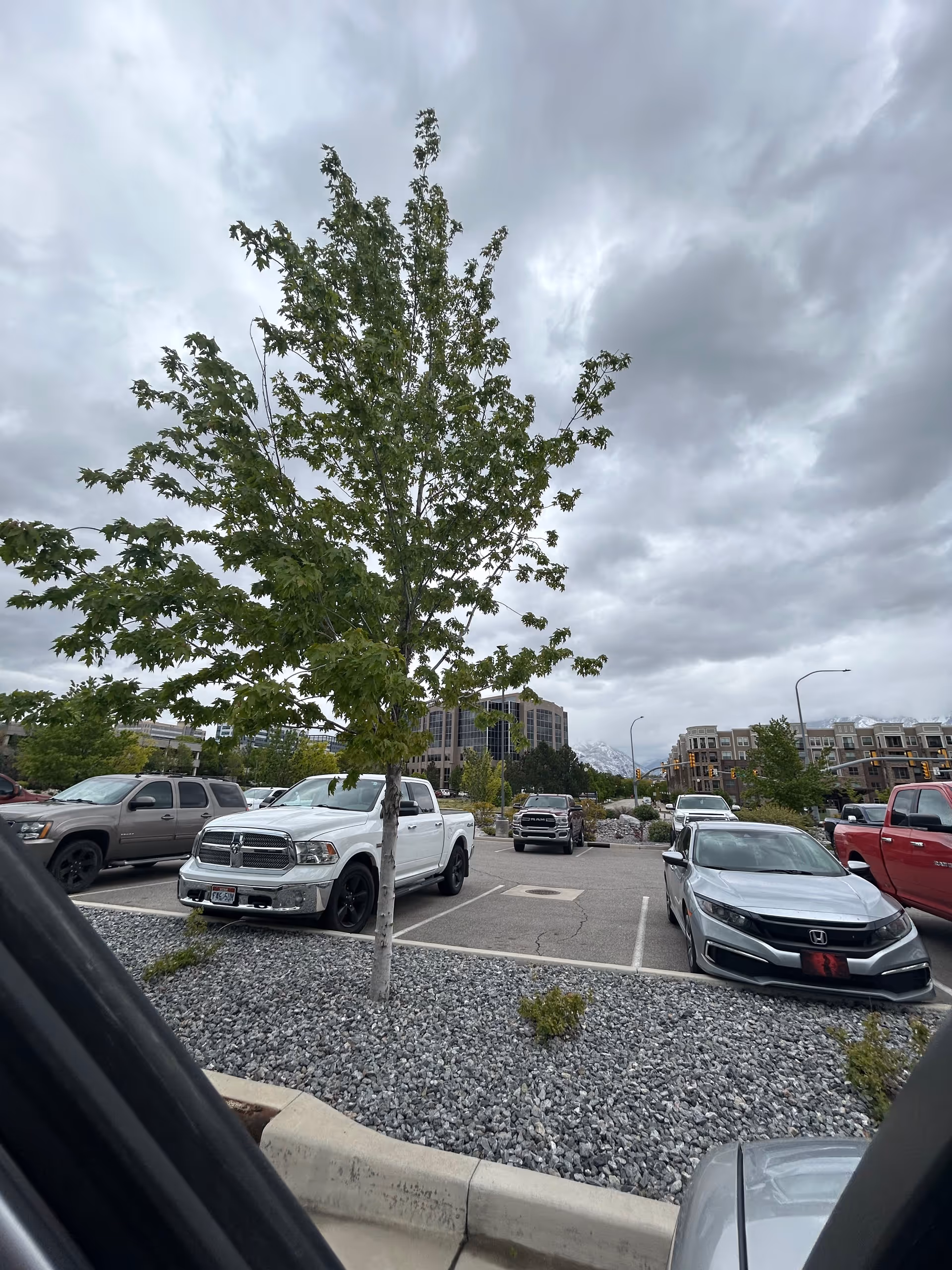 Overcast parking lot with several cars and green trees in front of modern buildings.