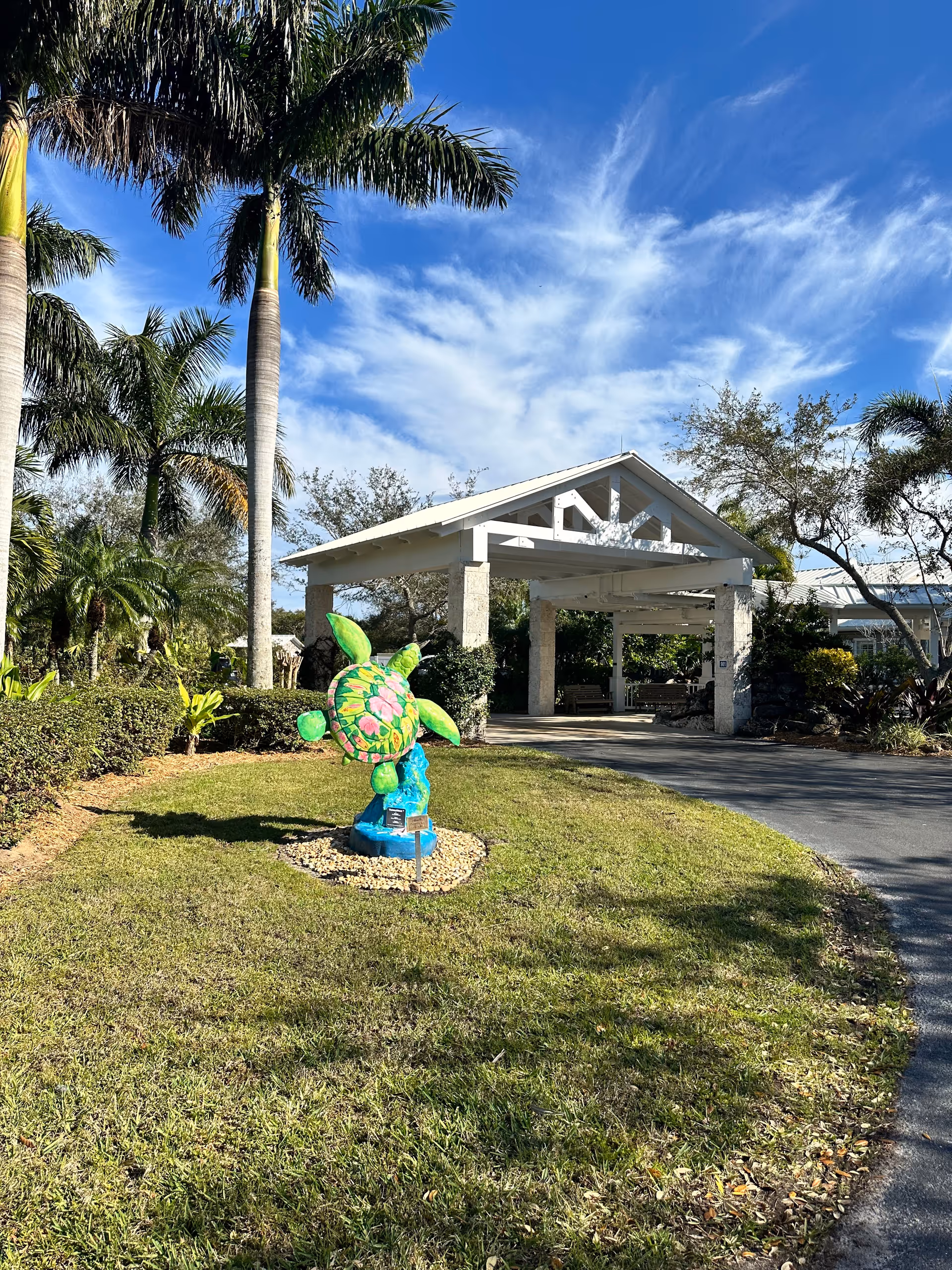 Exterior view of Visiting Nurse Association facility with colorful turtle sculpture on lawn.