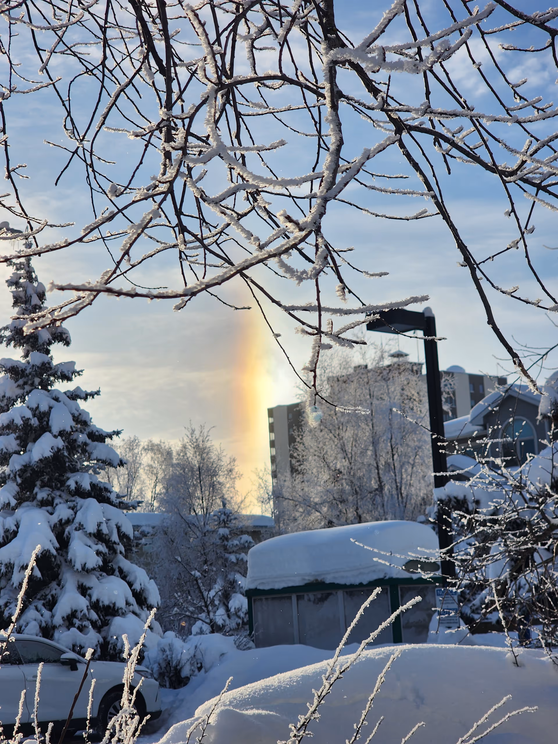 Snow-covered trees frame a sunny winter scene with a rainbow halo near buildings.
