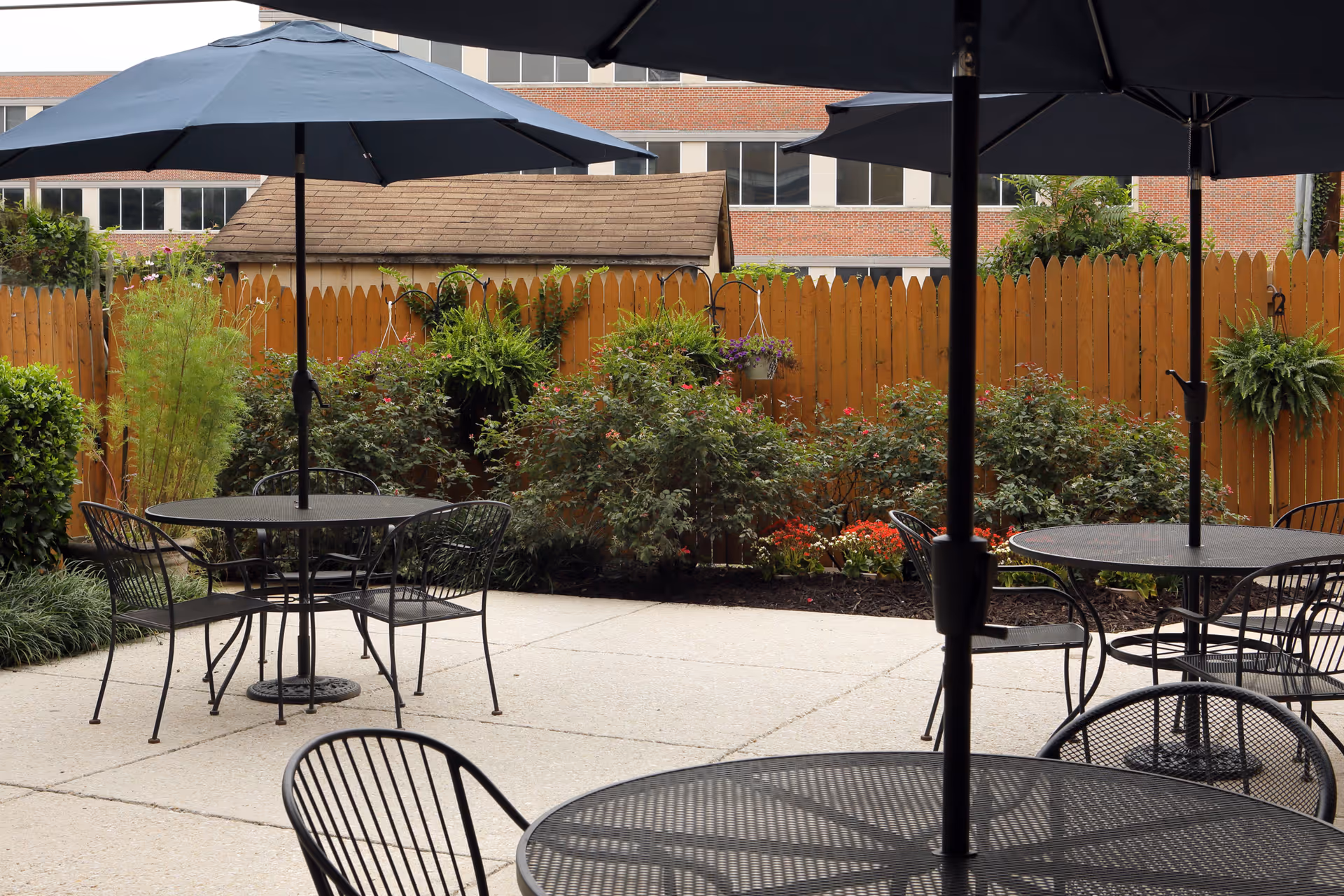 Outdoor patio area with black metal tables and chairs, each table shaded by a large black umbrella. The patio is surrounded by a wooden fence with various green plants and flowers along the fence line. A small shed and a multi-story building are visible in the background.