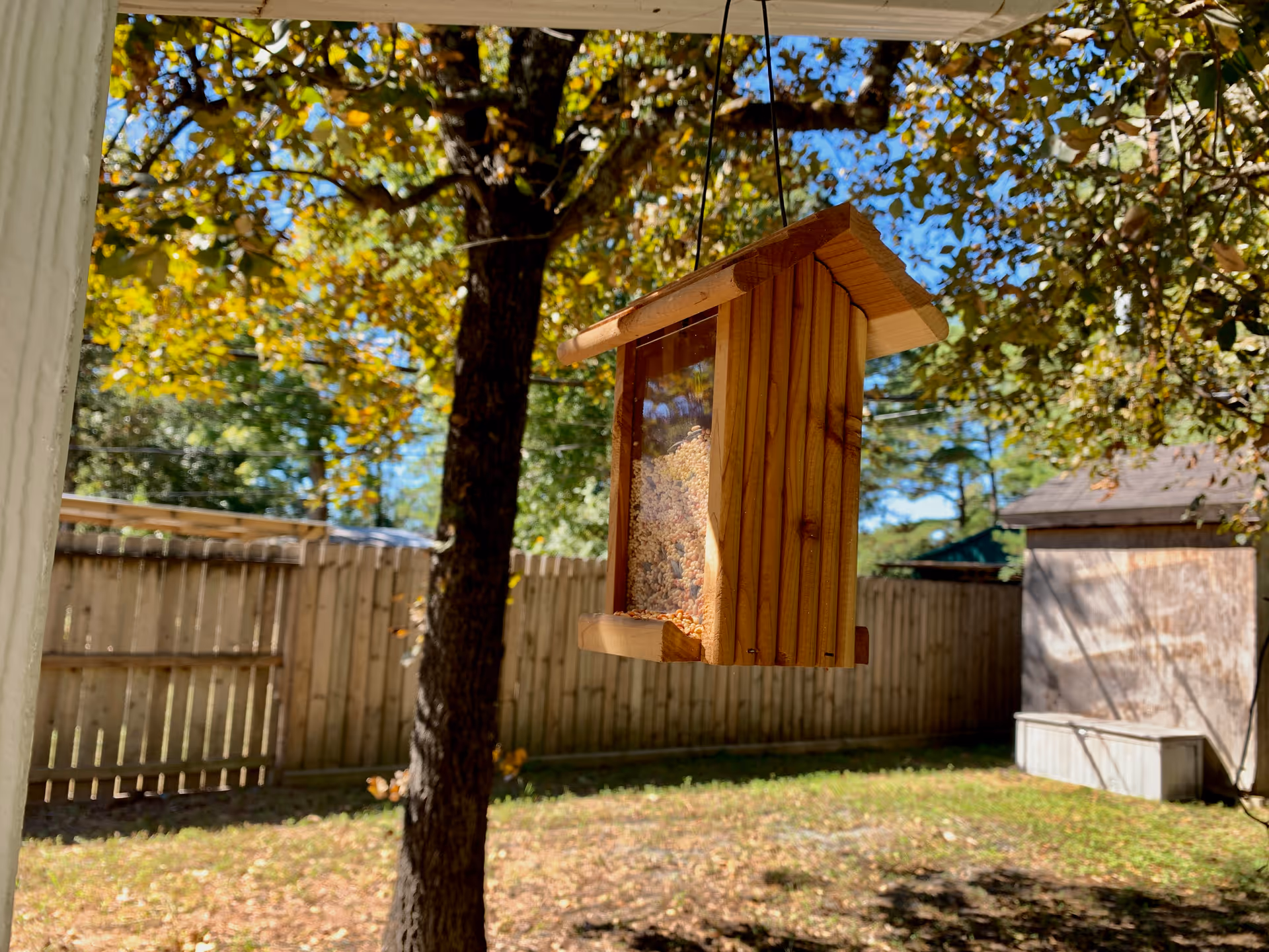 Wooden bird feeder hanging from a tree in a sunlit backyard with a fence.