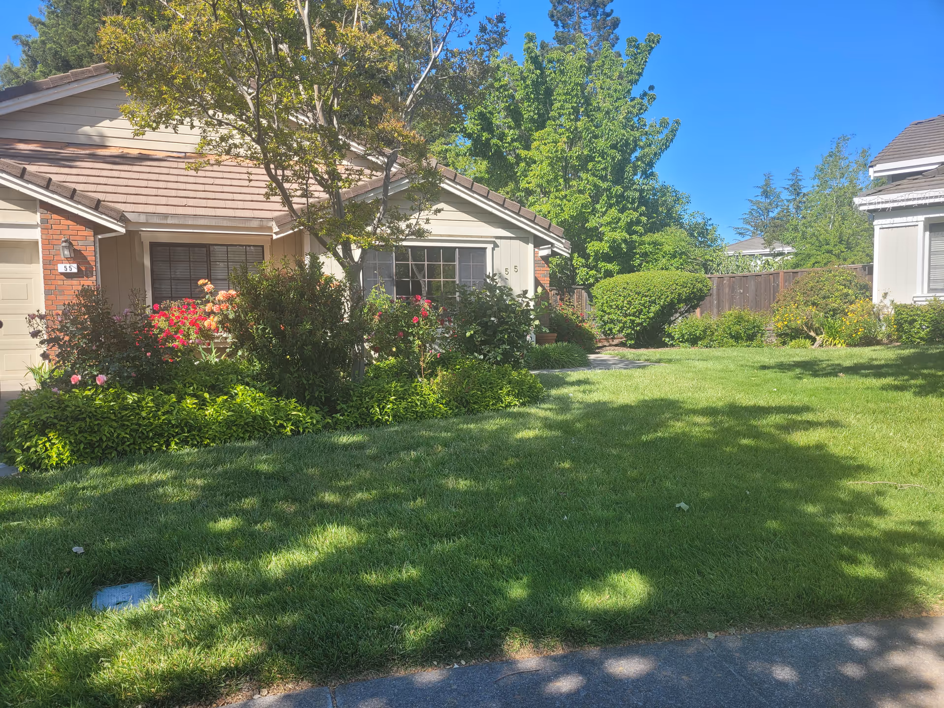 Front yard of a single-story home with green lawn, trees, and flowering bushes.
