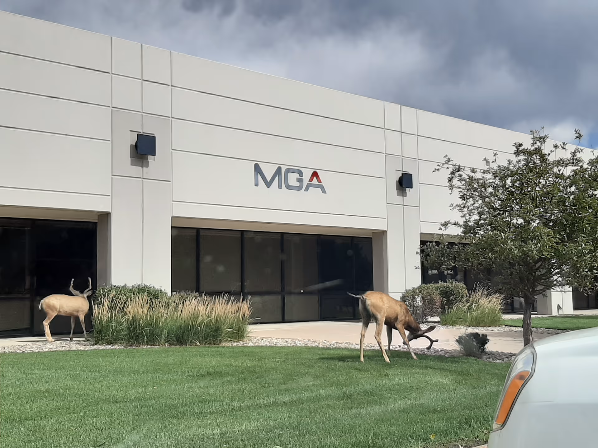Front view of MGA Homecare facility with two deer on the grassy lawn.