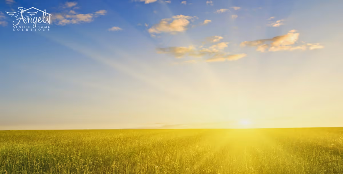 Sunlit golden field stretching to the horizon with Angels Senior Home Solutions logo in corner.