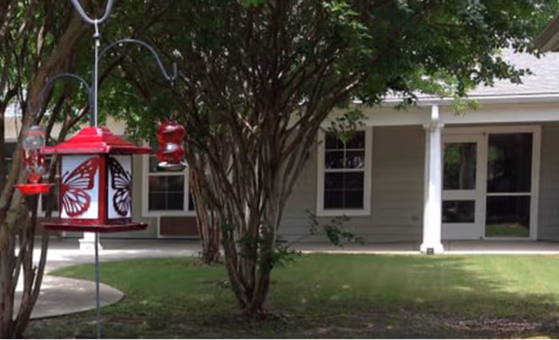 Front exterior of a single-story building with a covered porch, lawn and trees, and a red butterfly-decorated bird feeder in the foreground.