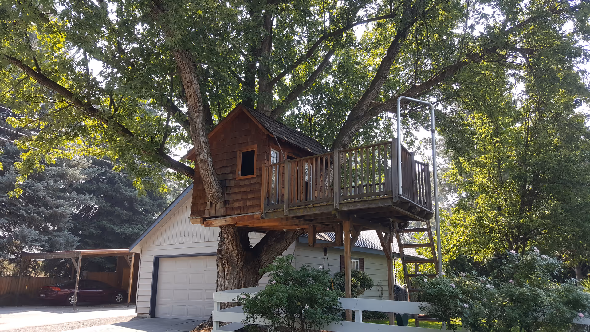 A wooden treehouse perched in a large tree above a suburban residence with a garage.