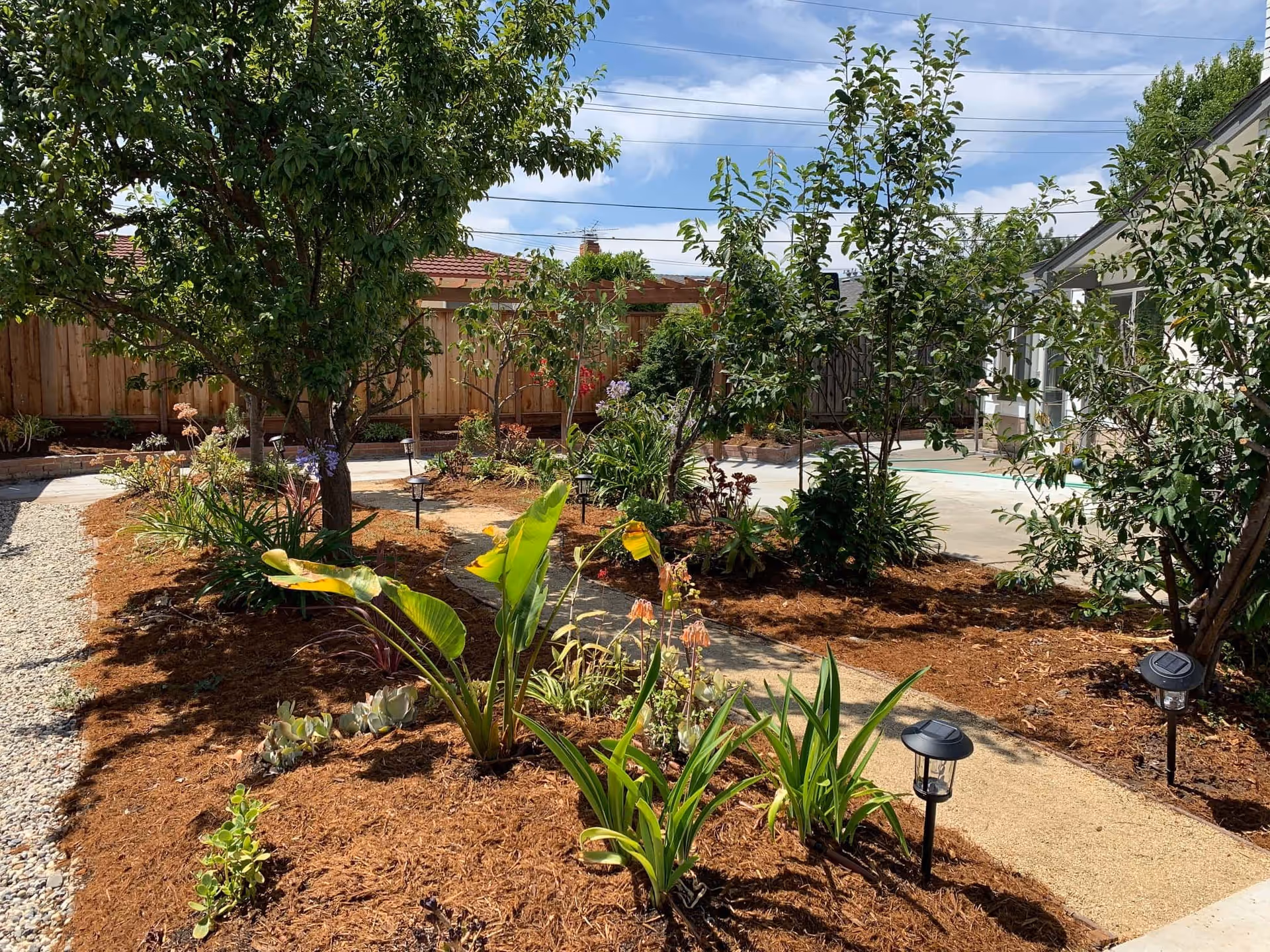 A well-maintained courtyard garden with trees, mulch beds, and a walking path by the care home.