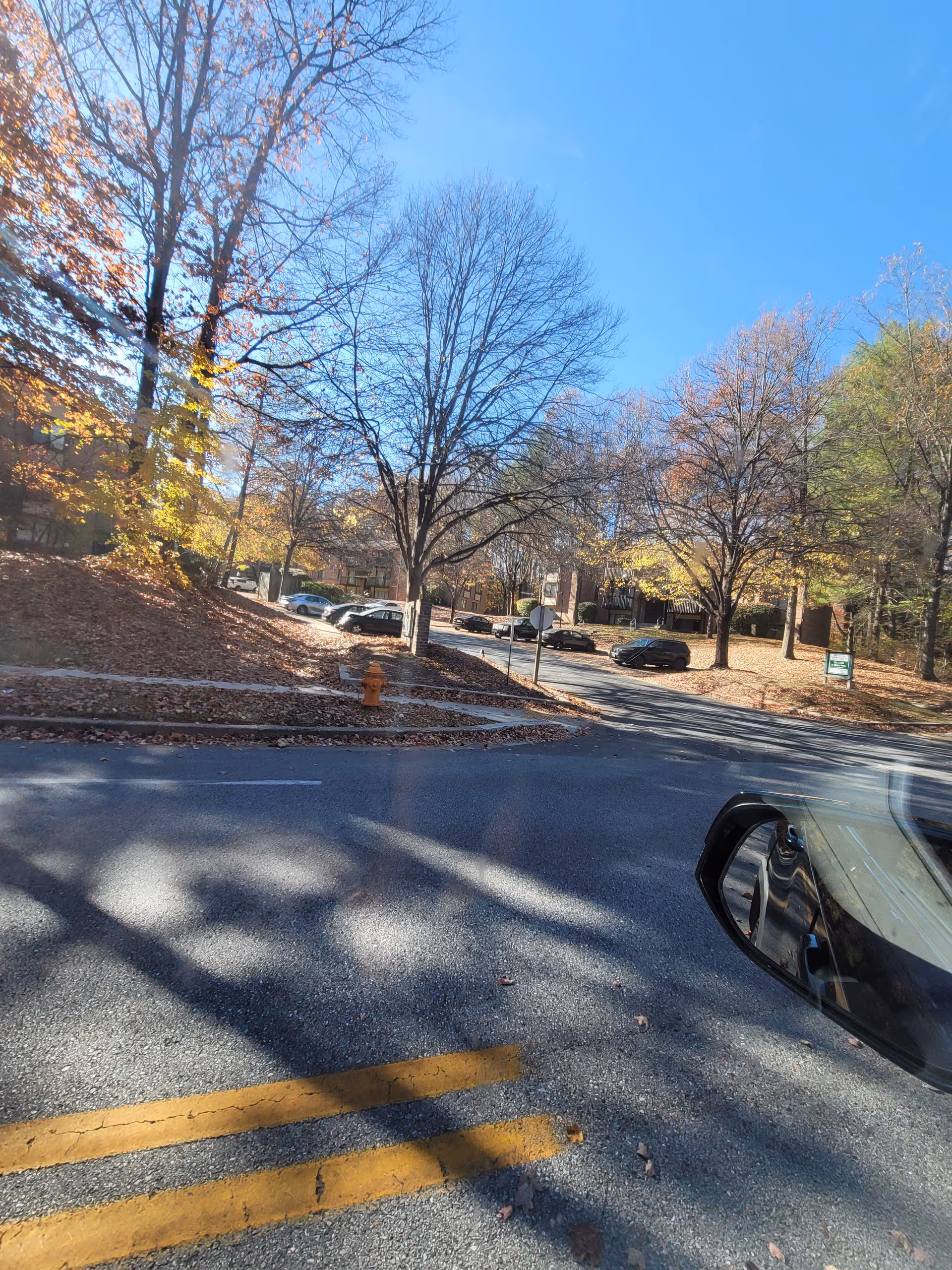 A sunny street view outside a campus with trees, fallen leaves, and parked cars.