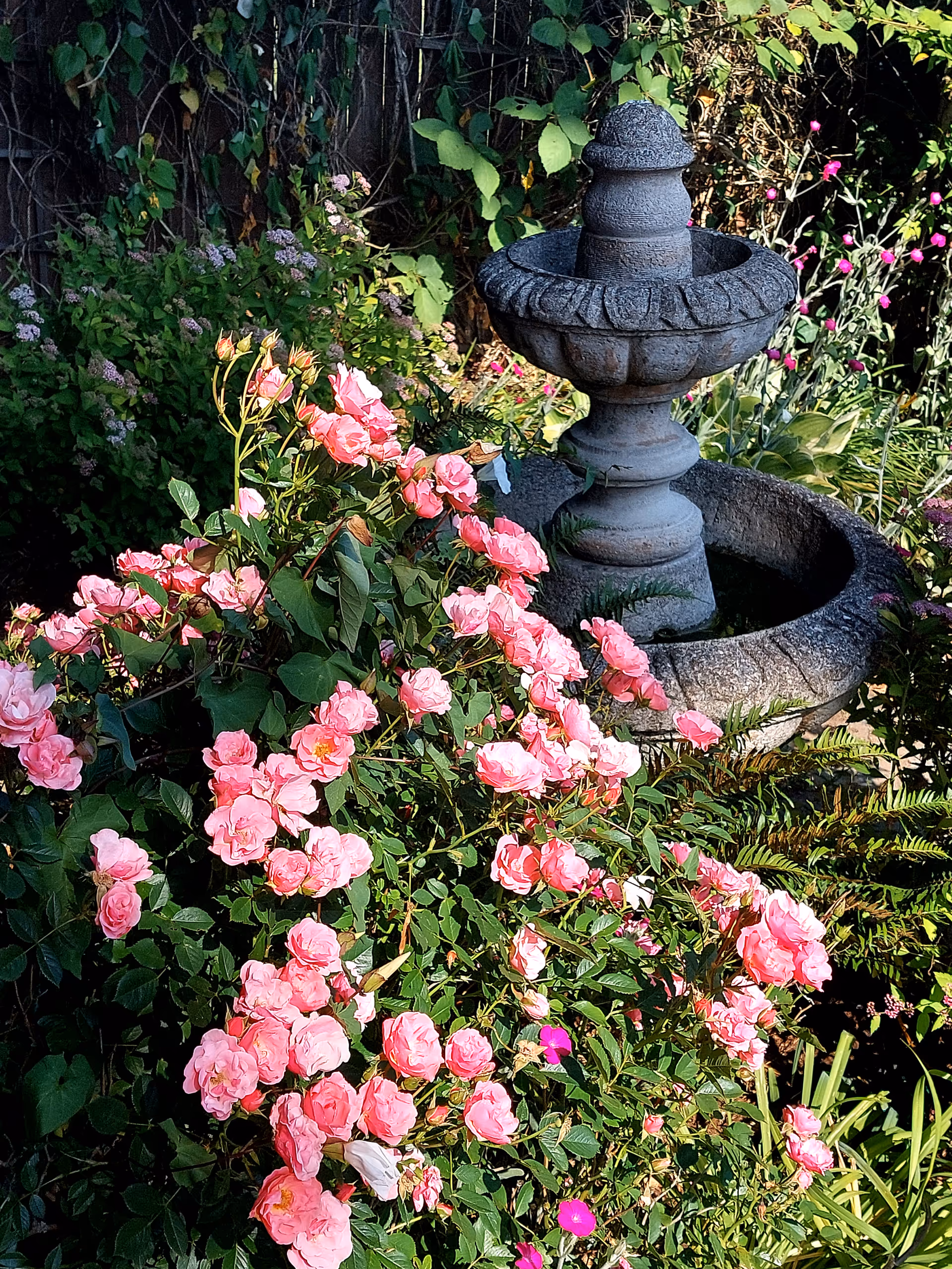 Stone fountain in a garden surrounded by pink roses and lush greenery.