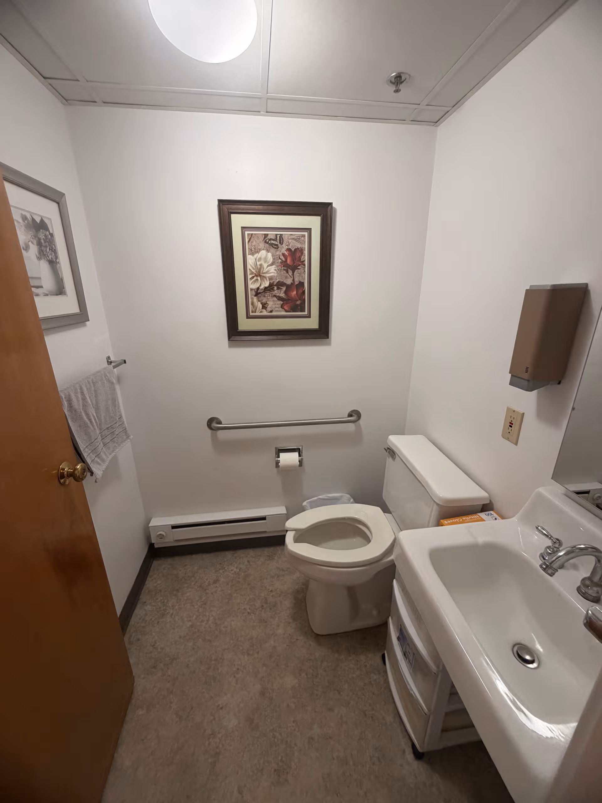 Compact bathroom in a retirement home with toilet, sink, grab bar, and wall art.